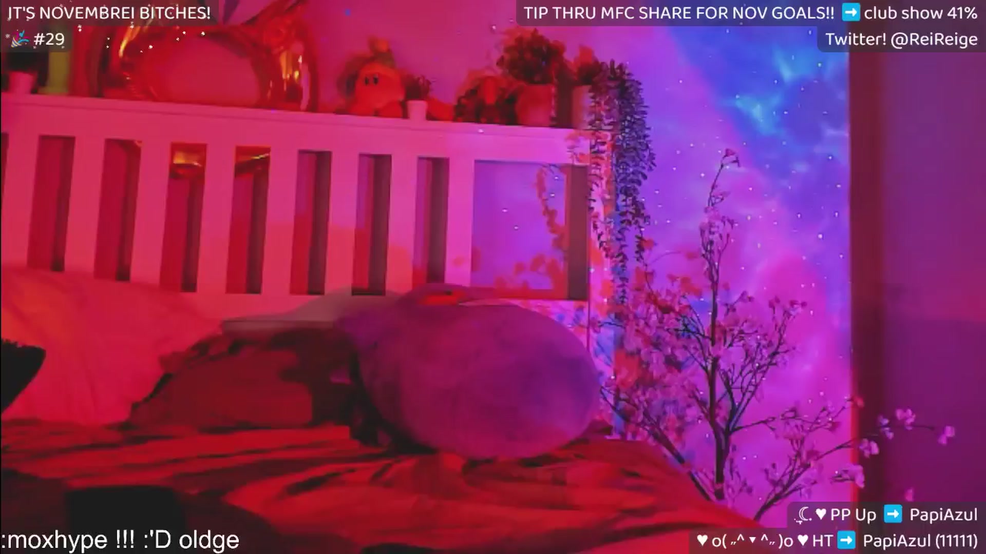 Gallery image thumbnail from Scammiversary's myfreecams stream on, 11/23/2024, 16:55 image 4 of 20