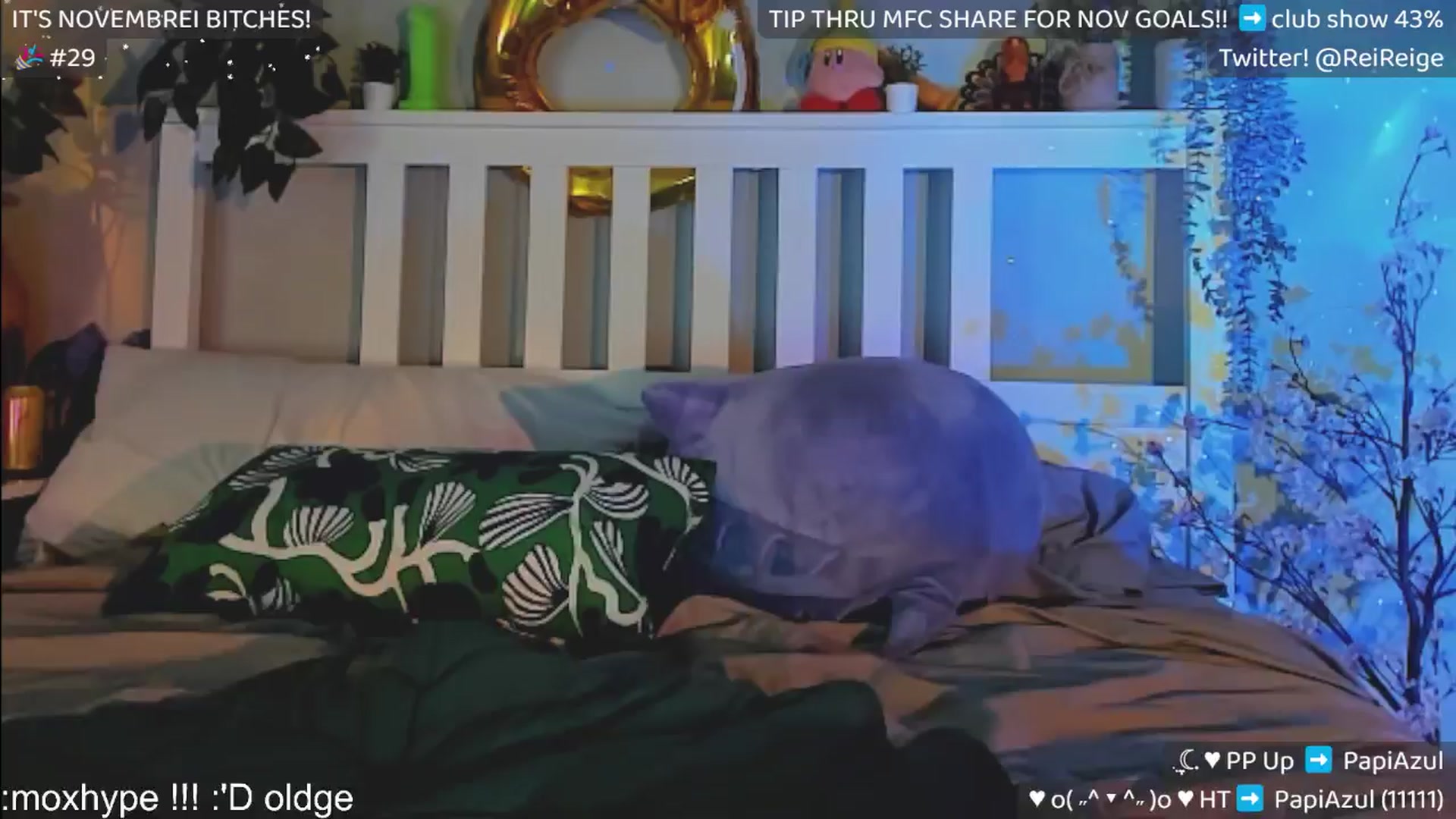Gallery image thumbnail from Scammiversary's myfreecams stream on, 11/23/2024, 16:55 image 19 of 20