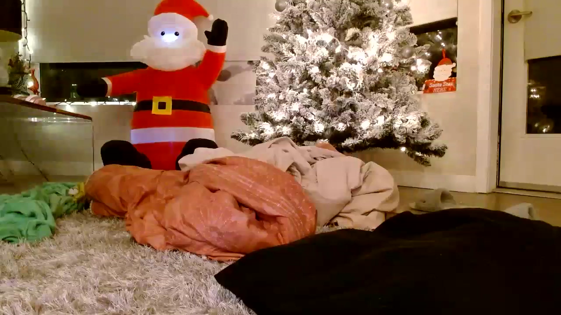 Gallery image thumbnail from Scar__lett's myfreecams stream on, 01/01/2024, 07:15 image 4 of 20