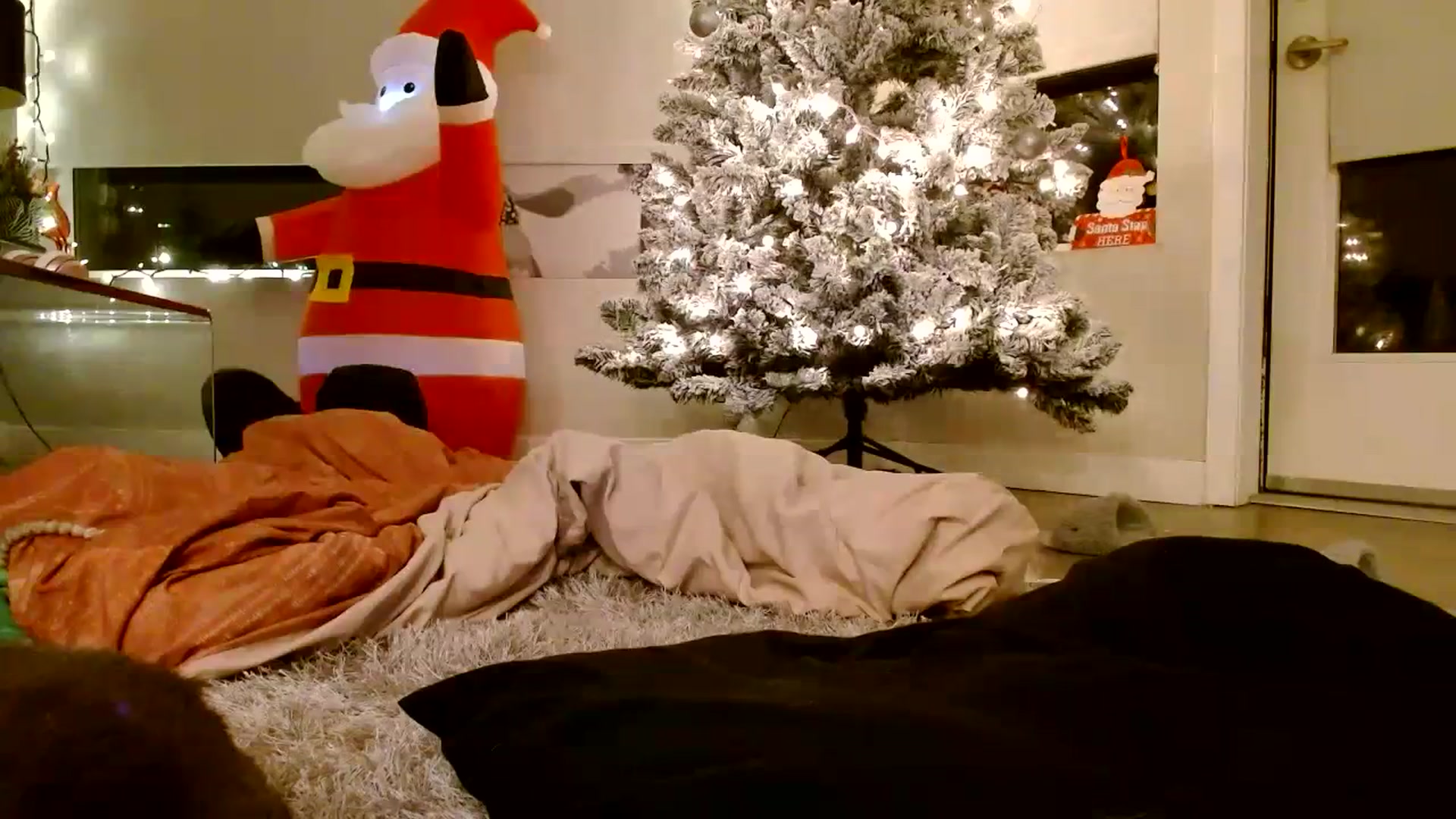 Gallery image thumbnail from Scar__lett's myfreecams stream on, 01/01/2024, 07:15 image 16 of 20