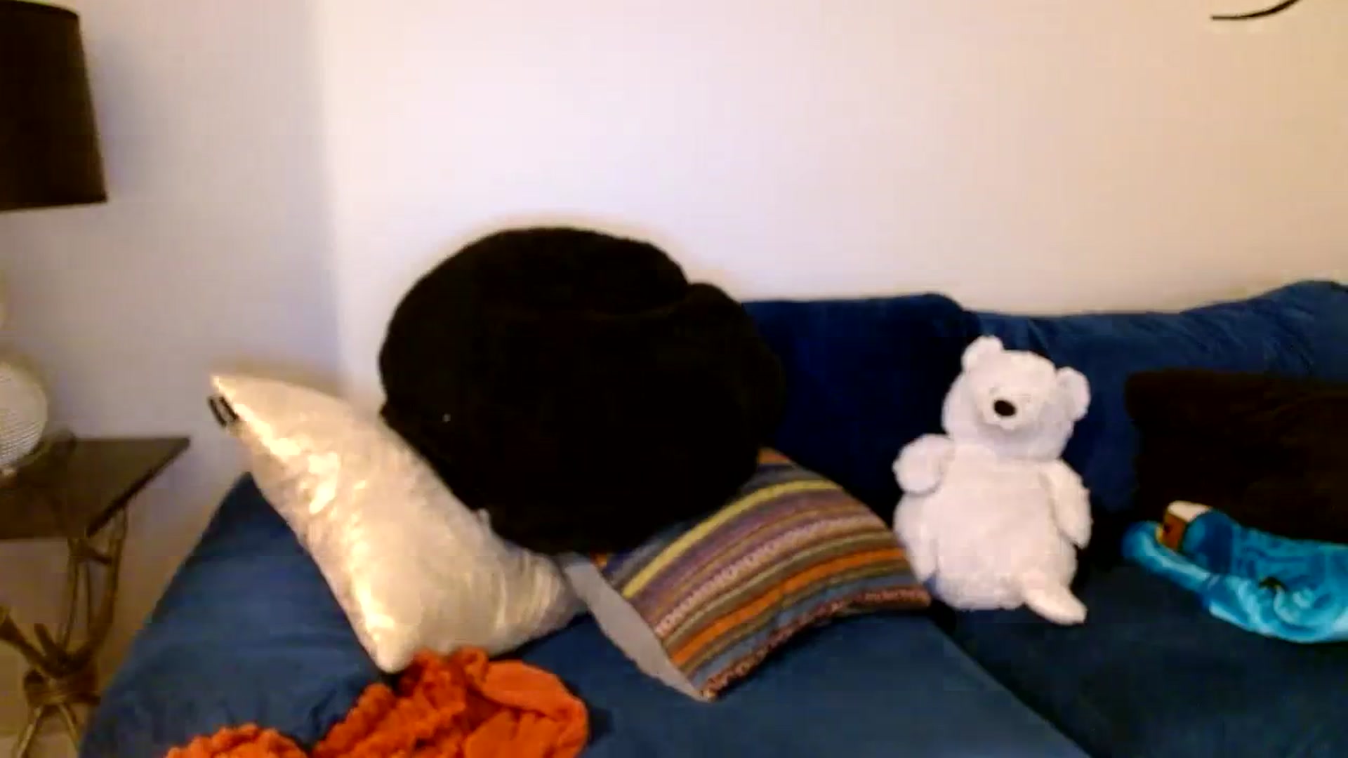 Gallery image thumbnail from Scar__lett's myfreecams stream on, 02/02/2024, 07:51 image 6 of 20