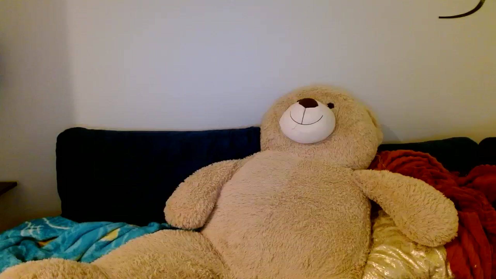 Gallery image thumbnail from Scar__lett's myfreecams stream on, 03/23/2024, 07:14 image 18 of 20