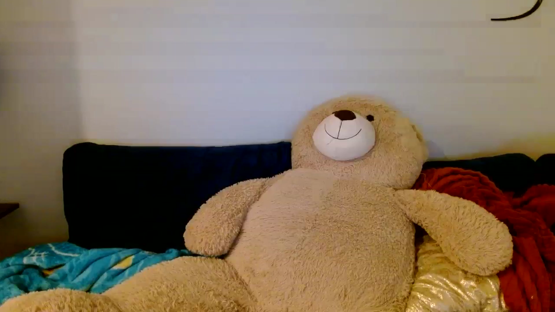 Gallery image thumbnail from Scar__lett's myfreecams stream on, 03/23/2024, 07:14 image 19 of 20