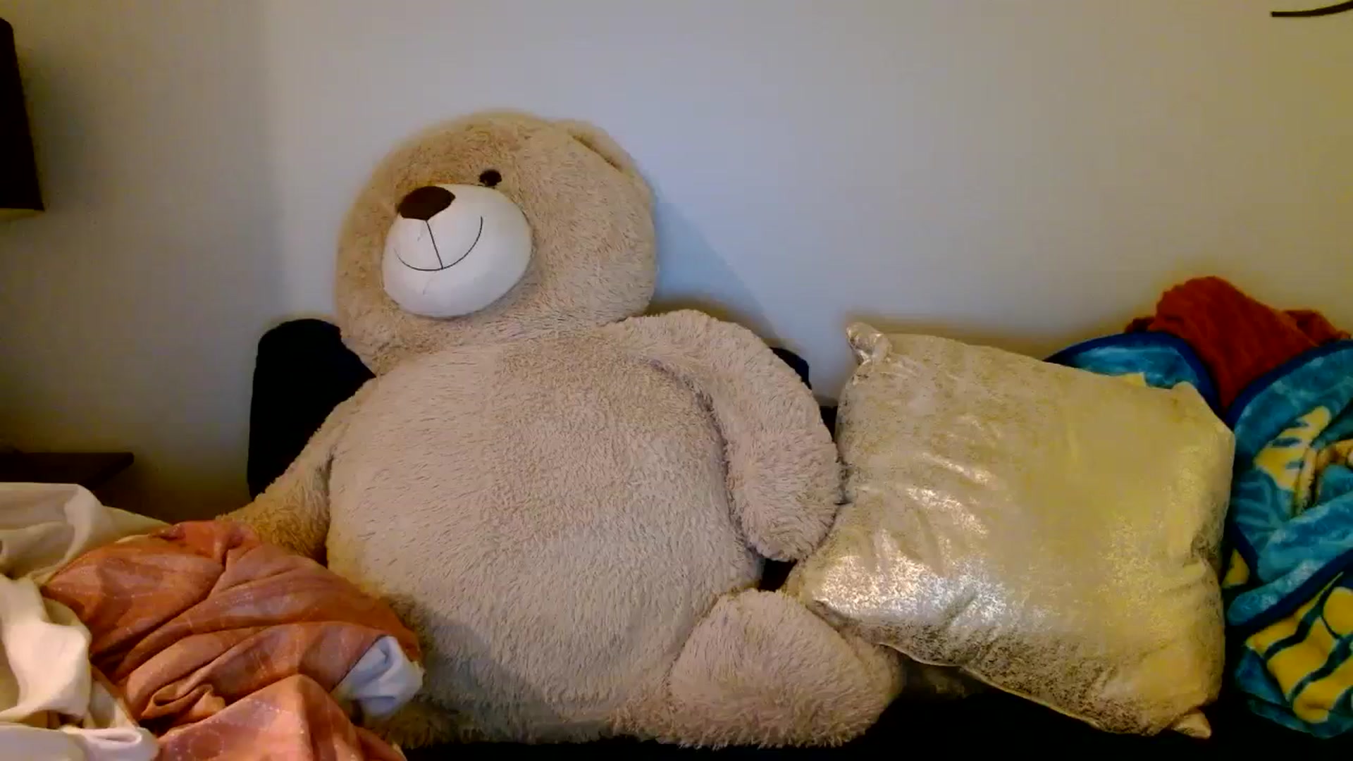 Gallery image thumbnail from Scar__lett's myfreecams stream on, 03/28/2024, 09:07 image 12 of 20