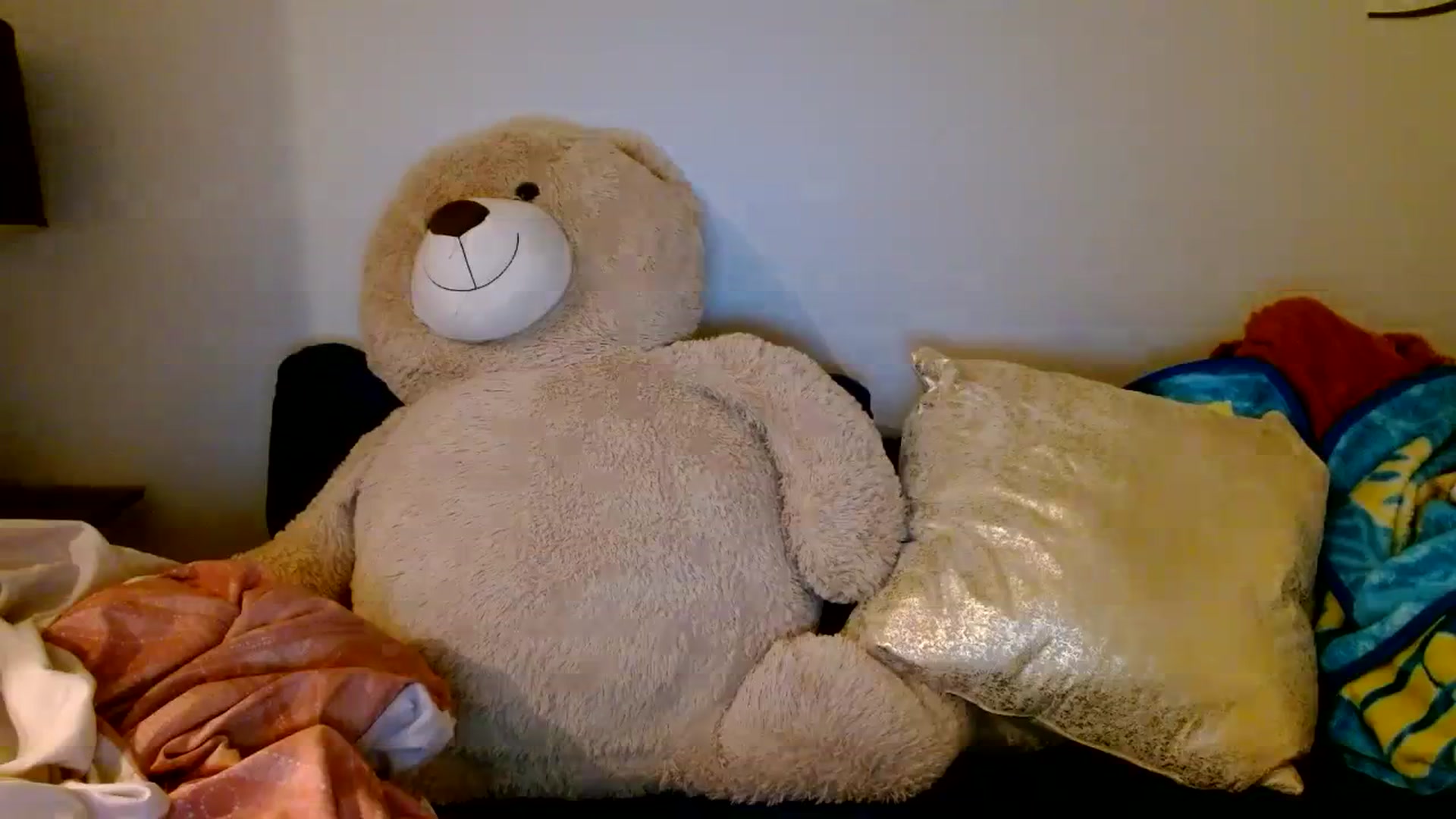 Gallery image thumbnail from Scar__lett's myfreecams stream on, 03/28/2024, 09:07 image 13 of 20