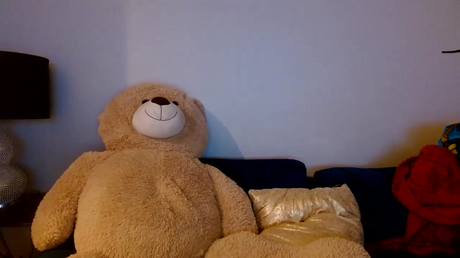Gallery image thumbnail from Scar__lett's myfreecams stream on, 04/09/2024, 07:06 image 18 of 20
