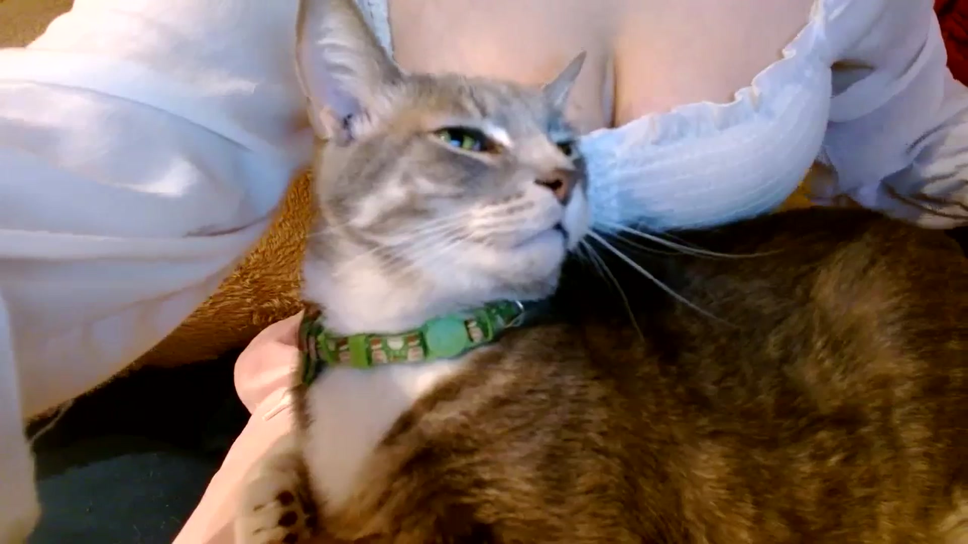 Gallery image thumbnail from Scar__lett's myfreecams stream on, 04/09/2024, 08:36 image 5 of 20