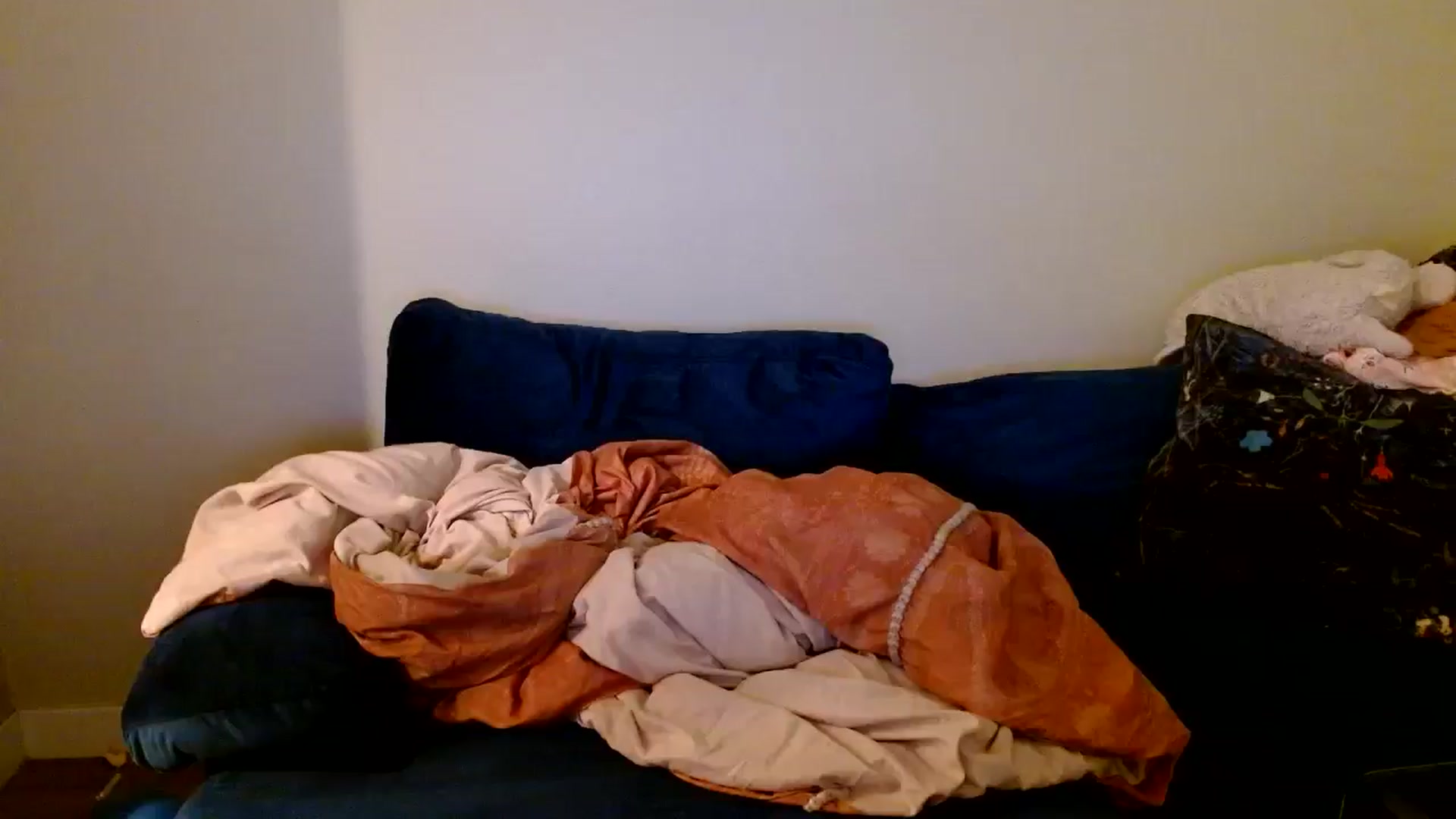 Gallery image thumbnail from Scar__lett's myfreecams stream on, 06/29/2024, 08:50 image 1 of 20