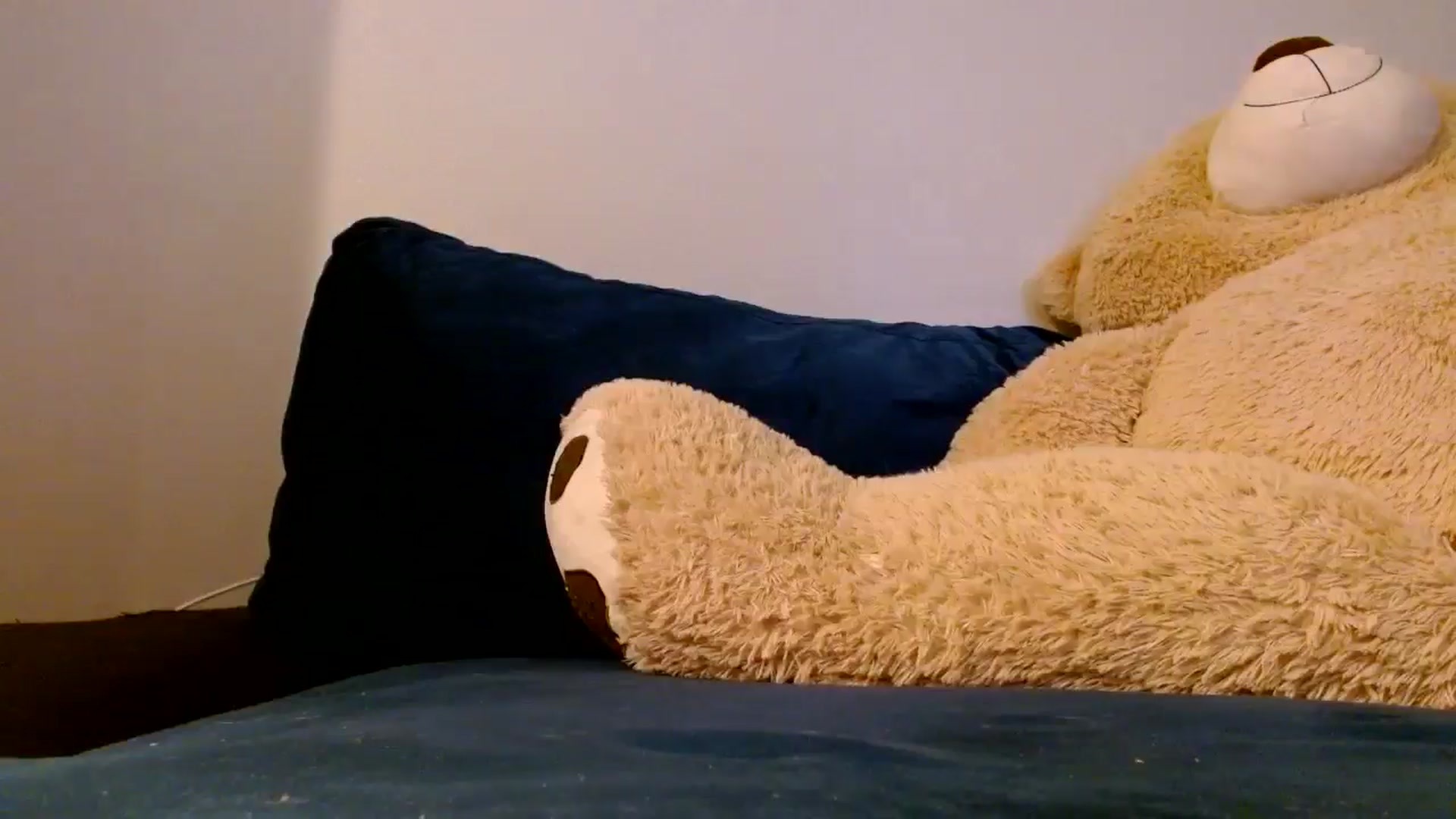 Gallery image thumbnail from Scar__lett's myfreecams stream on, 07/07/2024, 09:48 image 12 of 20