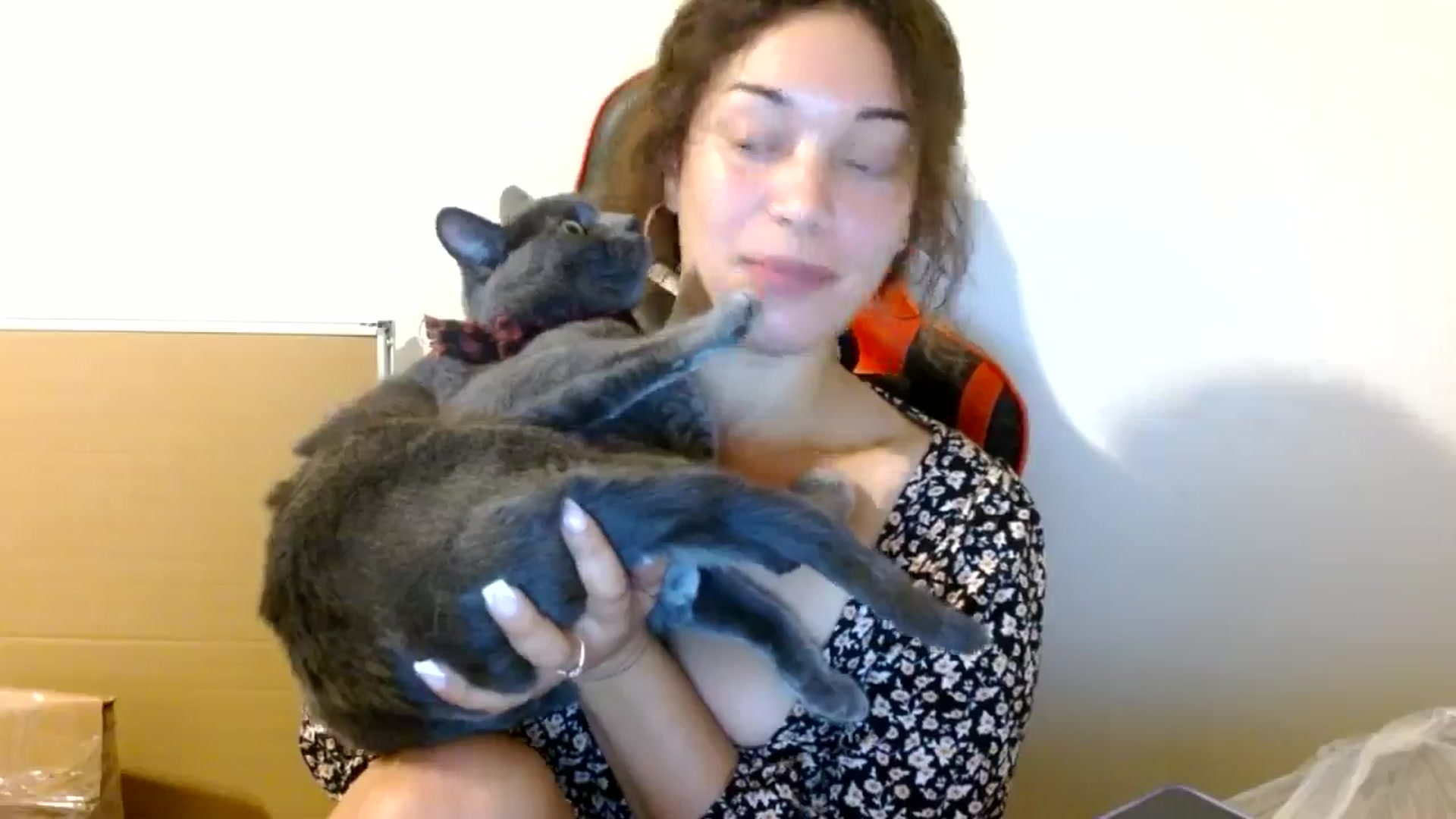 Gallery image thumbnail from Scar__lett's myfreecams stream on, 08/28/2024, 07:11 image 4 of 20