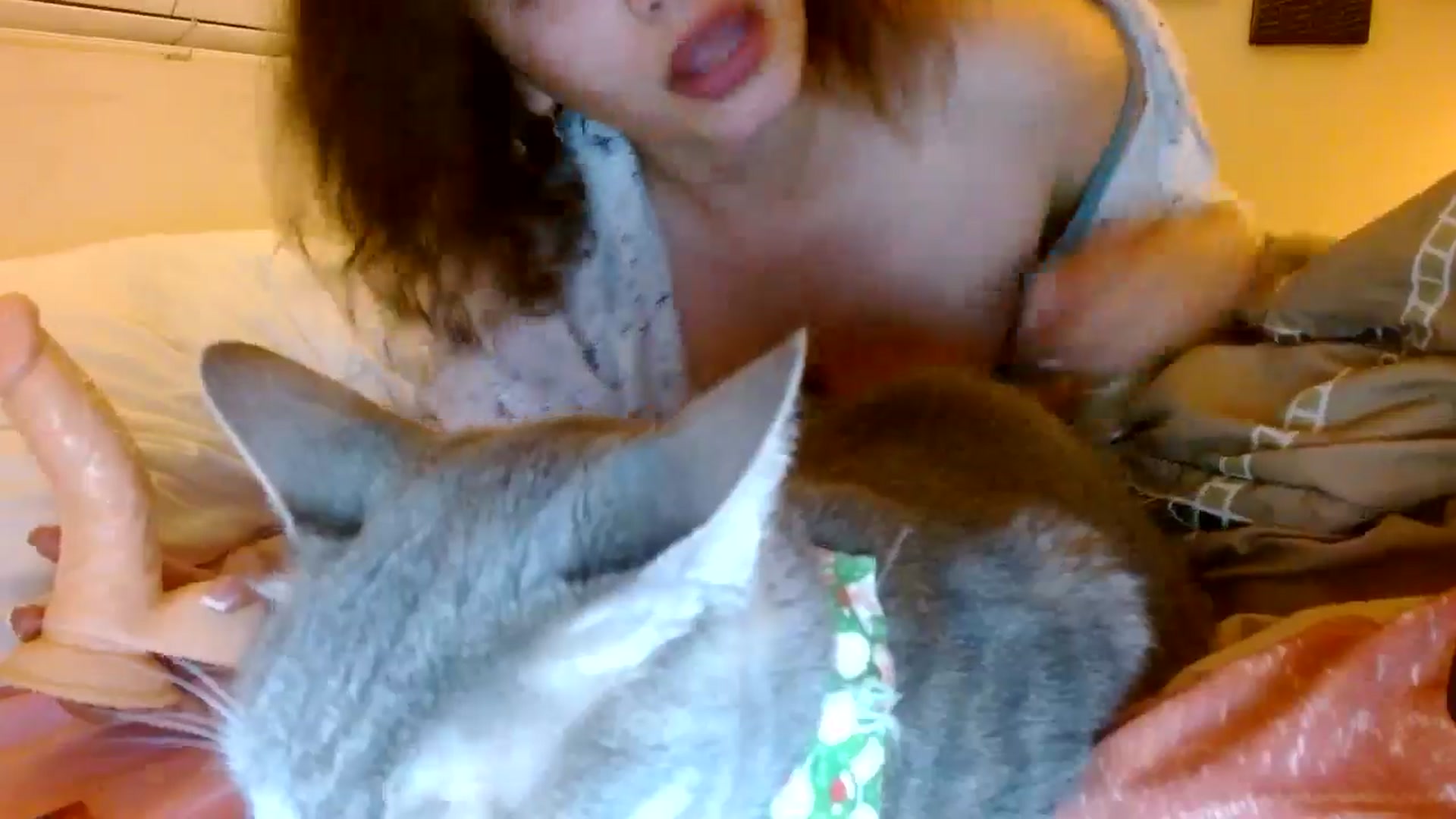 Gallery image thumbnail from Scar__lett's myfreecams stream on, 02/28/2025, 09:19 image 15 of 20