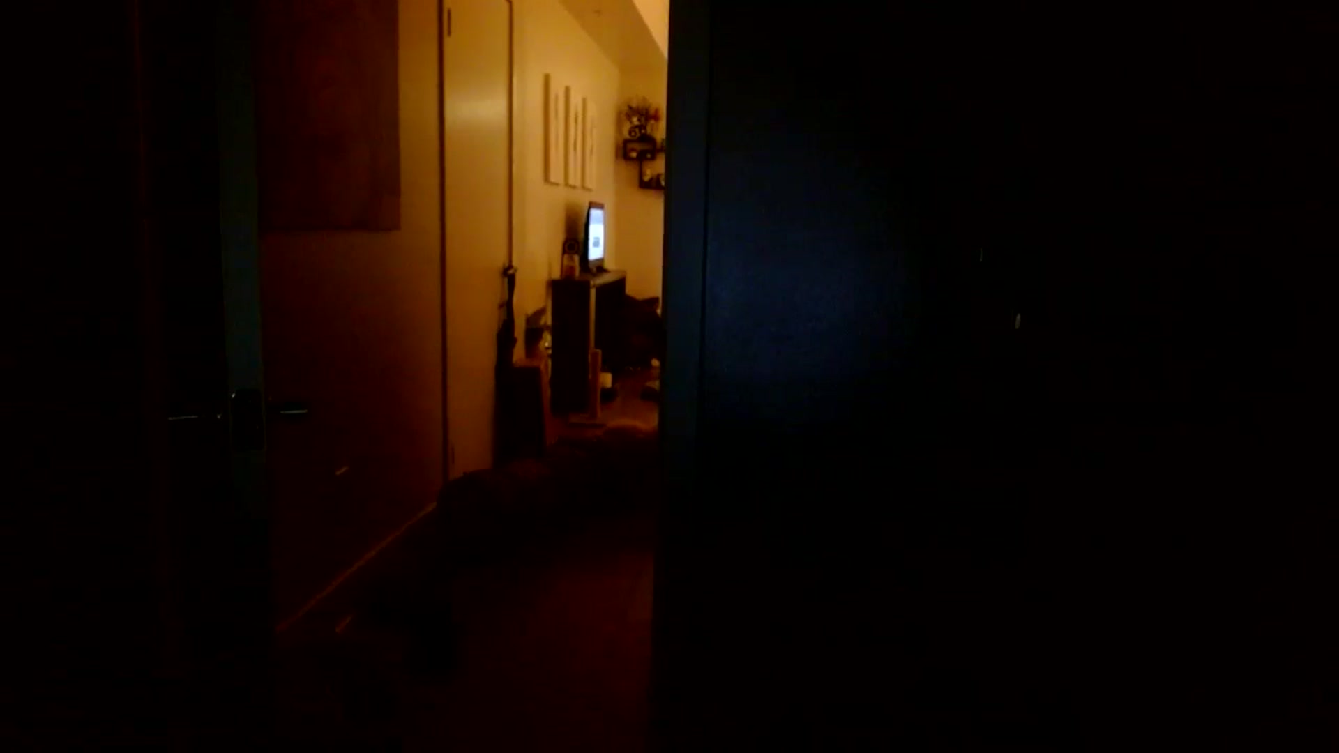 Gallery image thumbnail from Scar__lett's myfreecams stream on, 03/14/2025, 10:56 image 3 of 20