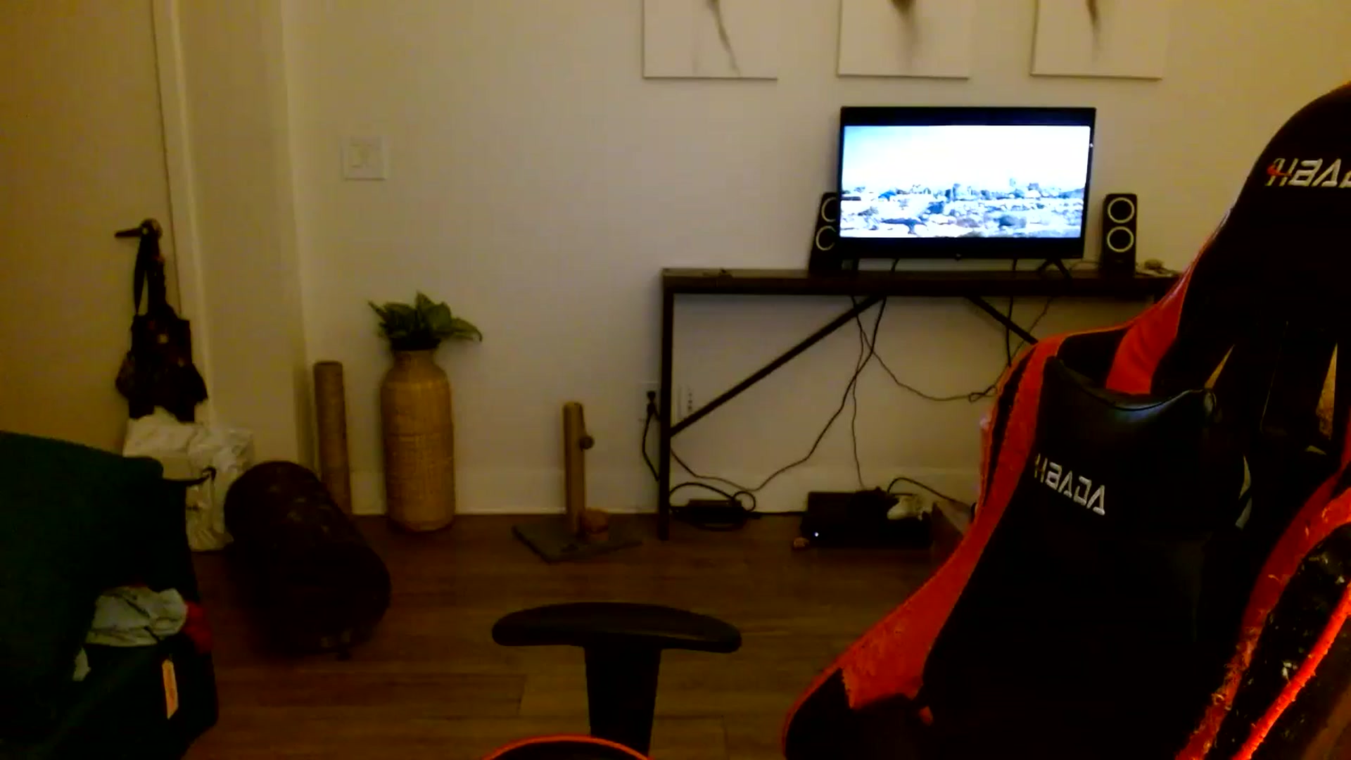 Gallery image thumbnail from Scar__lett's myfreecams stream on, 04/09/2025, 08:09 image 17 of 20