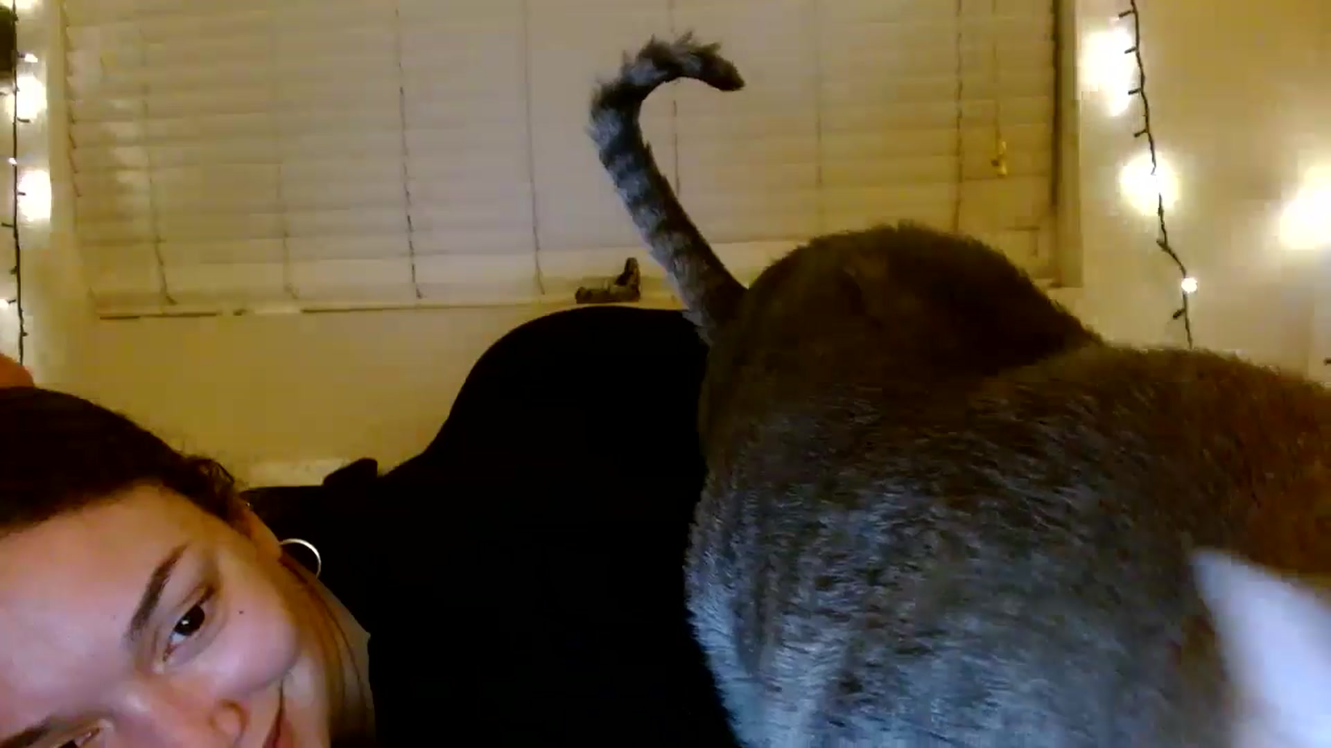 Gallery image thumbnail from Scar__lett's myfreecams stream on, 06/26/2025, 09:27 image 16 of 20