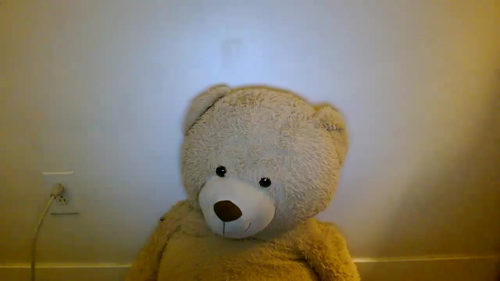 Gallery image thumbnail from Scar__lett's myfreecams stream on, 08/01/2025, 08:15 image 13 of 20