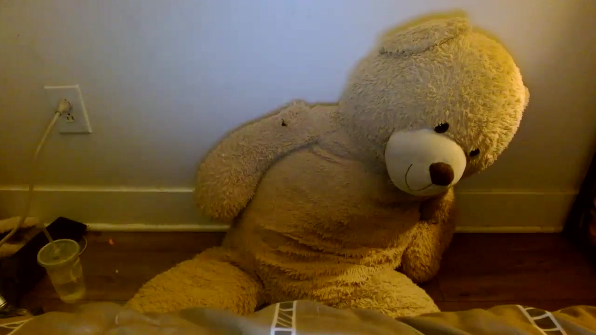 Gallery image thumbnail from Scar__lett's myfreecams stream on, 08/01/2025, 09:26 image 16 of 20