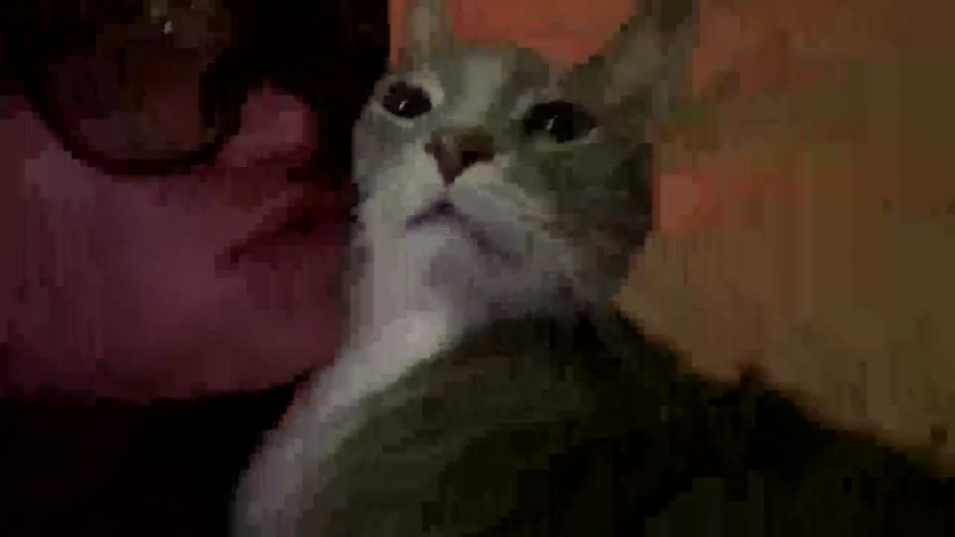 Gallery image thumbnail from Scar__lett's myfreecams stream on, 12/04/2025, 09:35 image 8 of 20