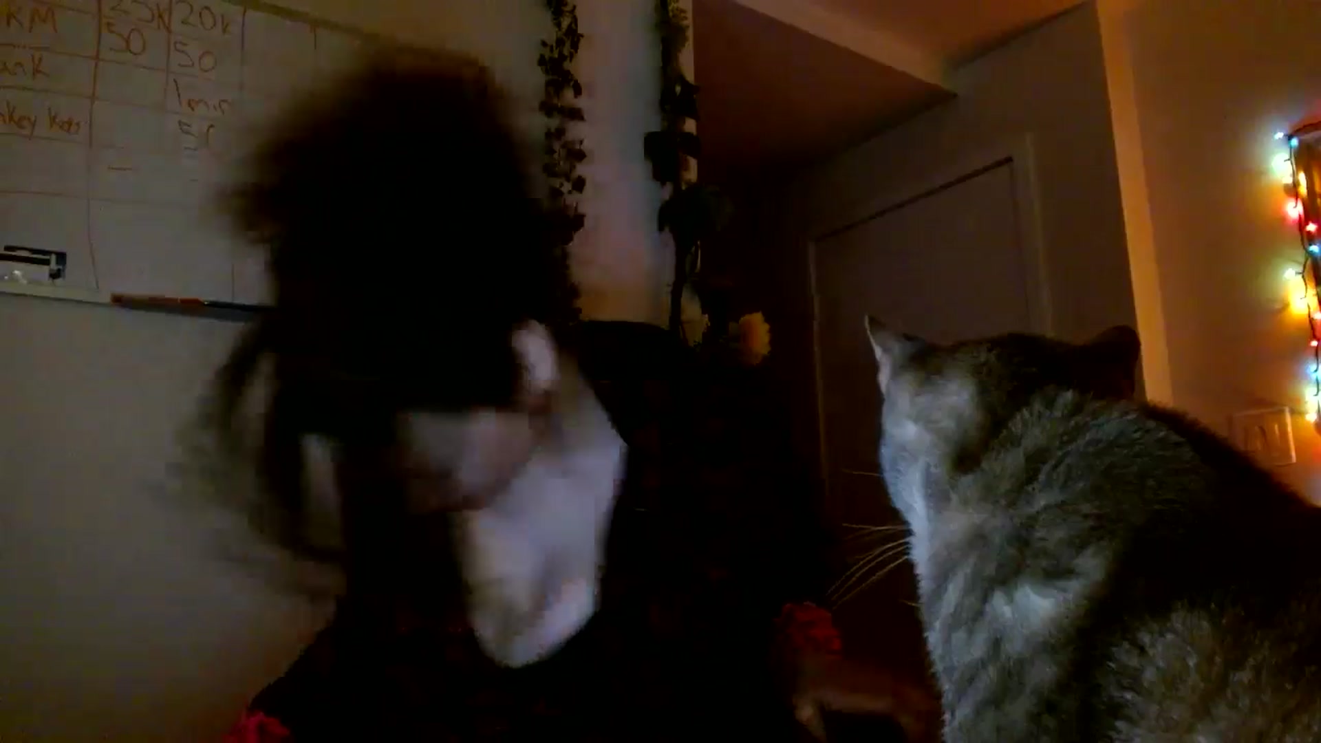 Gallery image thumbnail from Scar__lett's myfreecams stream on, 01/21/2026, 09:31 image 9 of 20