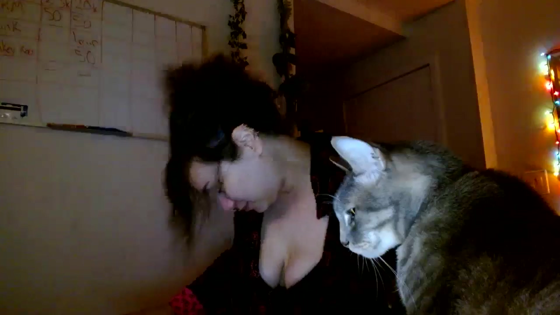 Gallery image thumbnail from Scar__lett's myfreecams stream on, 01/21/2026, 09:31 image 10 of 20