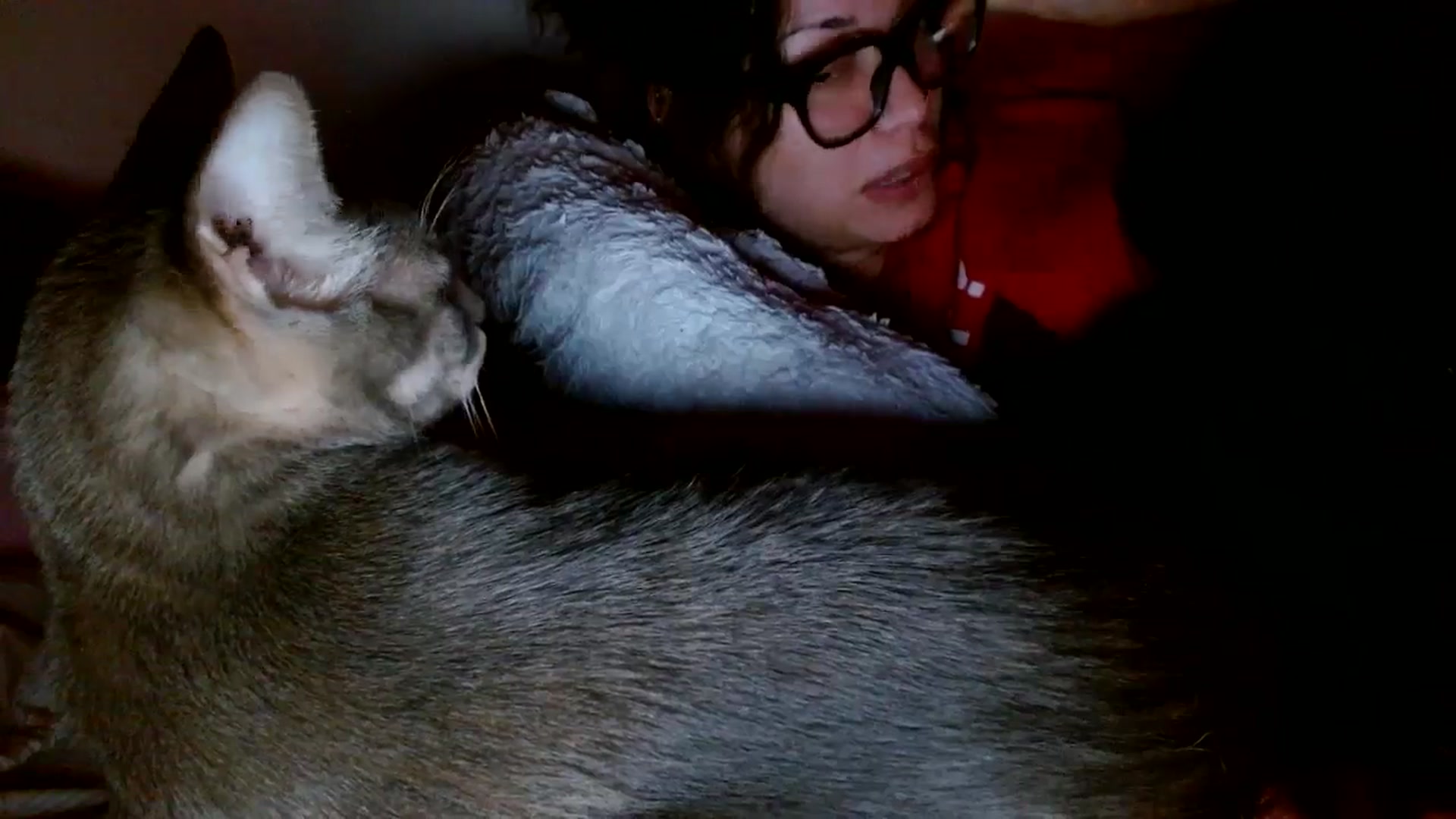 Gallery image thumbnail from Scar__lett's myfreecams stream on, 01/31/2026, 10:47 image 20 of 20