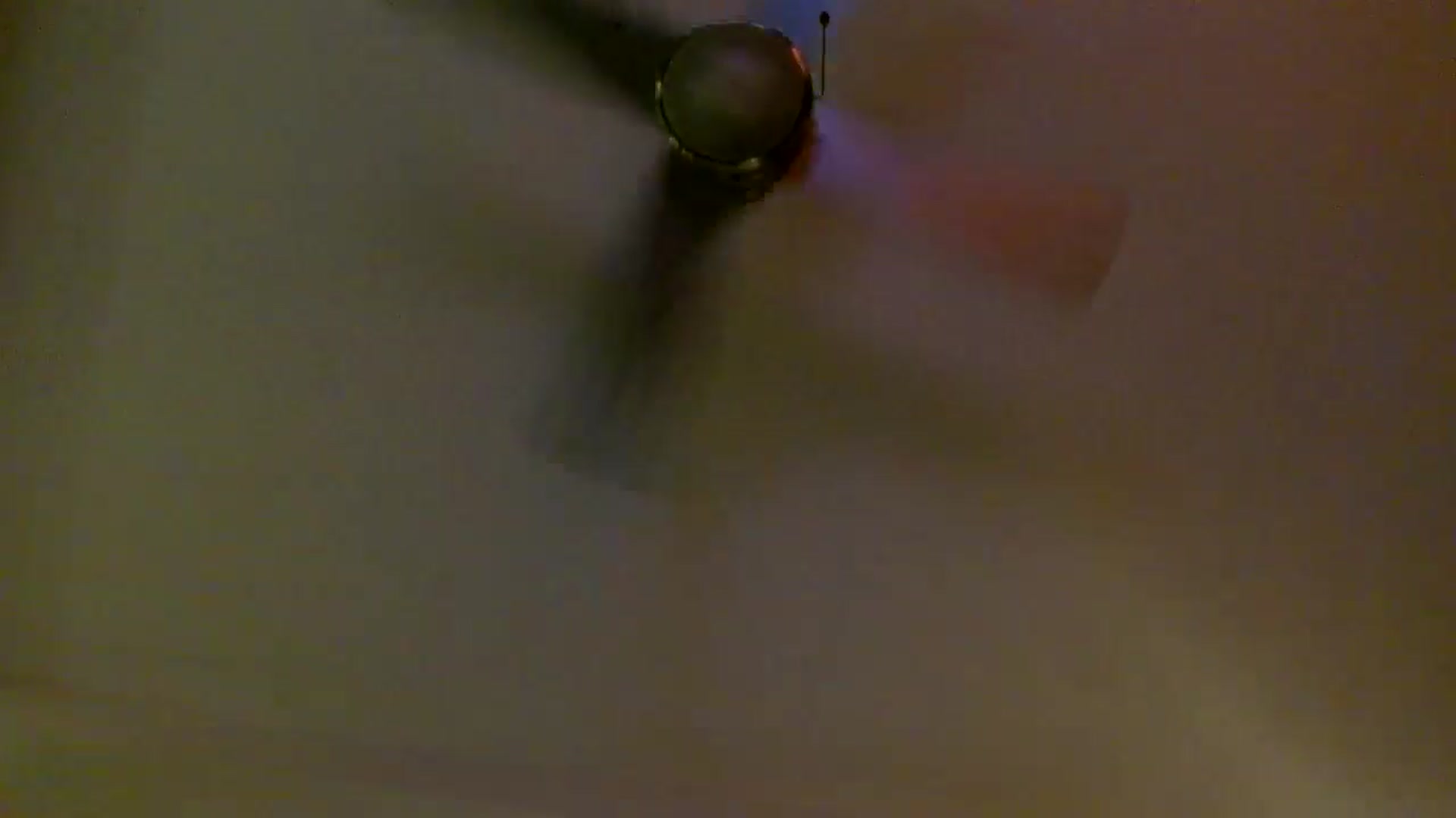 Gallery image thumbnail from Scar__lett's myfreecams stream on, 02/18/2026, 09:02 image 4 of 20