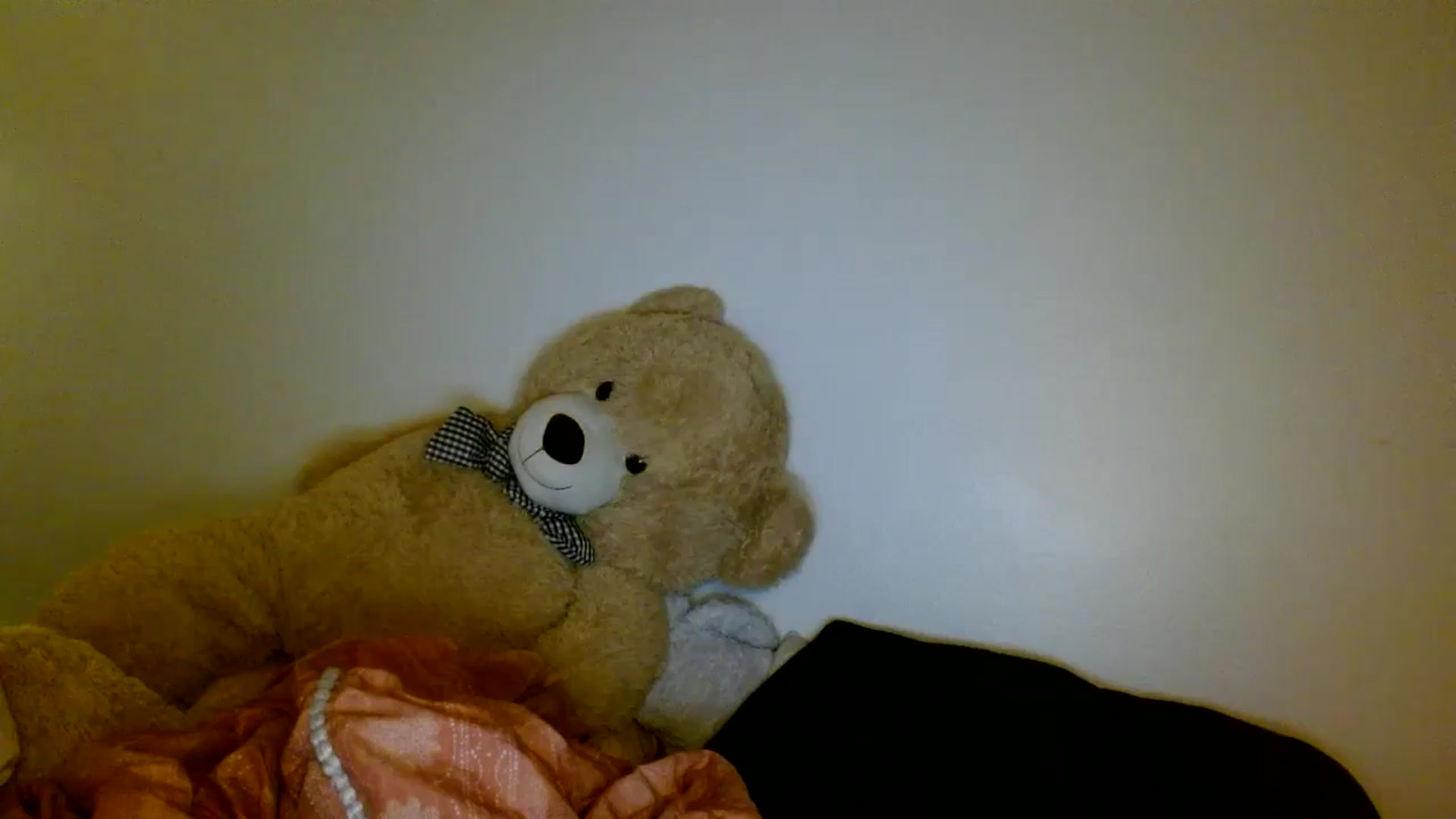 Gallery image thumbnail from Scar__lett's myfreecams stream on, 03/20/2026, 08:34 image 13 of 20