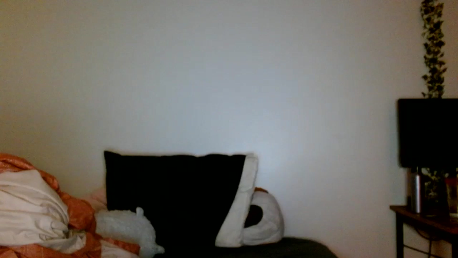 Gallery image thumbnail from Scar__lett's myfreecams stream on, 04/18/2026, 06:17 image 14 of 20