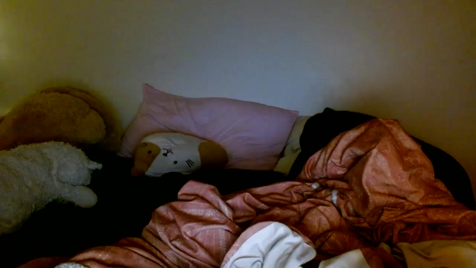 Gallery image thumbnail from Scar__lett's myfreecams stream on, 04/26/2026, 09:44 image 14 of 20