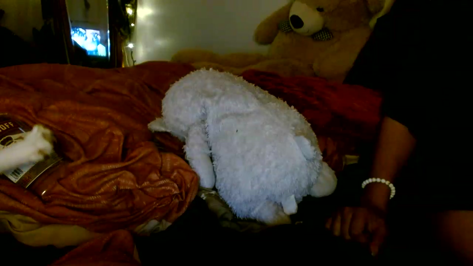 Gallery image thumbnail from Scar__lett's myfreecams stream on, 05/21/2026, 08:46 image 14 of 20