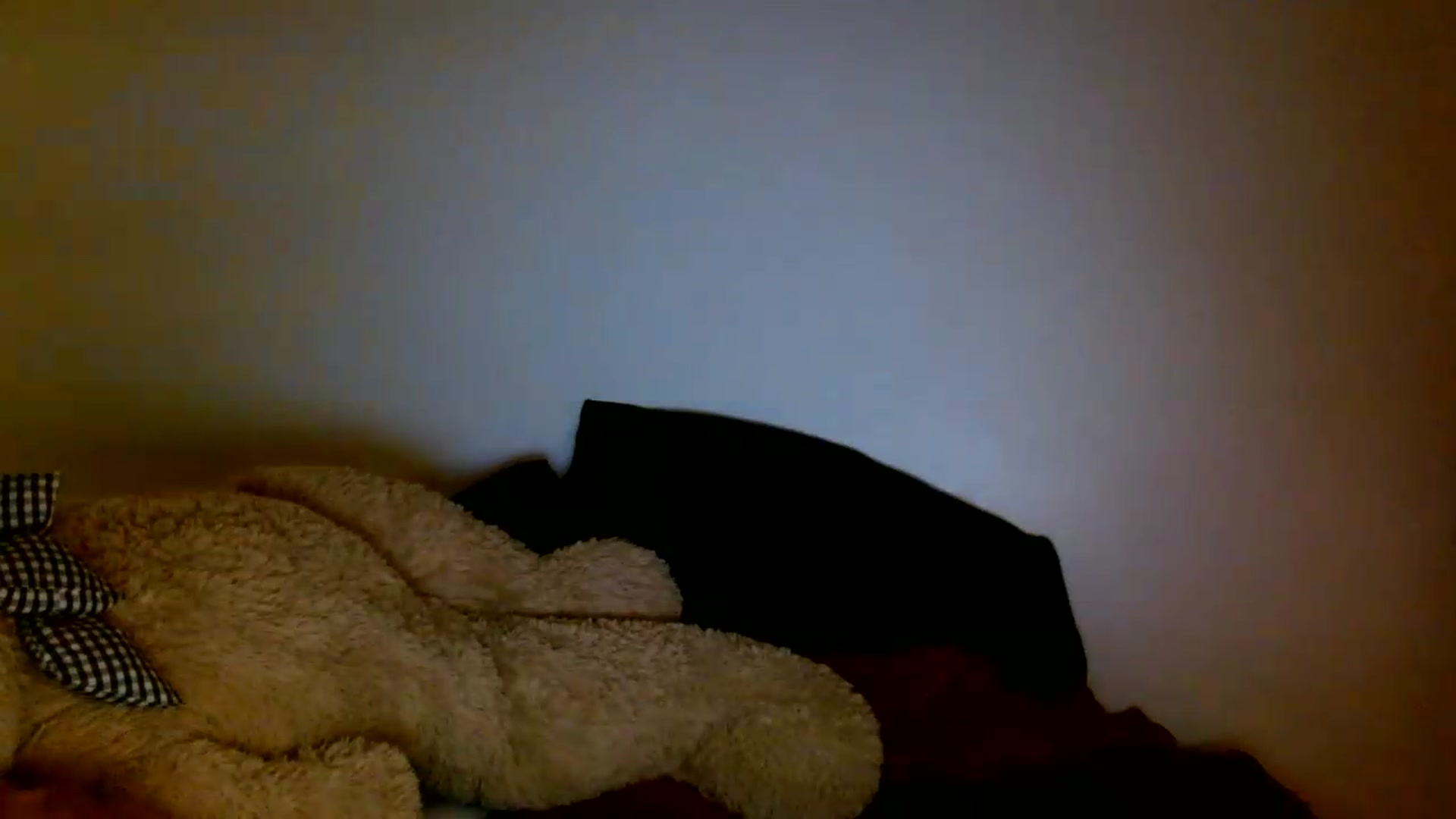 Gallery image thumbnail from Scar__lett's myfreecams stream on, 05/23/2026, 07:14 image 12 of 20