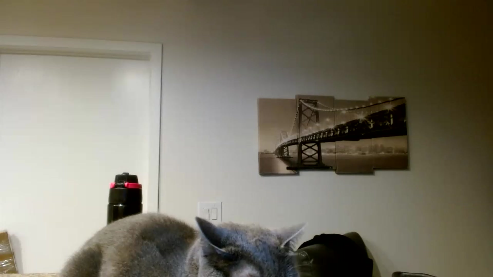 Gallery image thumbnail from Scar__lett's myfreecams stream on, 05/30/2026, 07:38 image 2 of 20