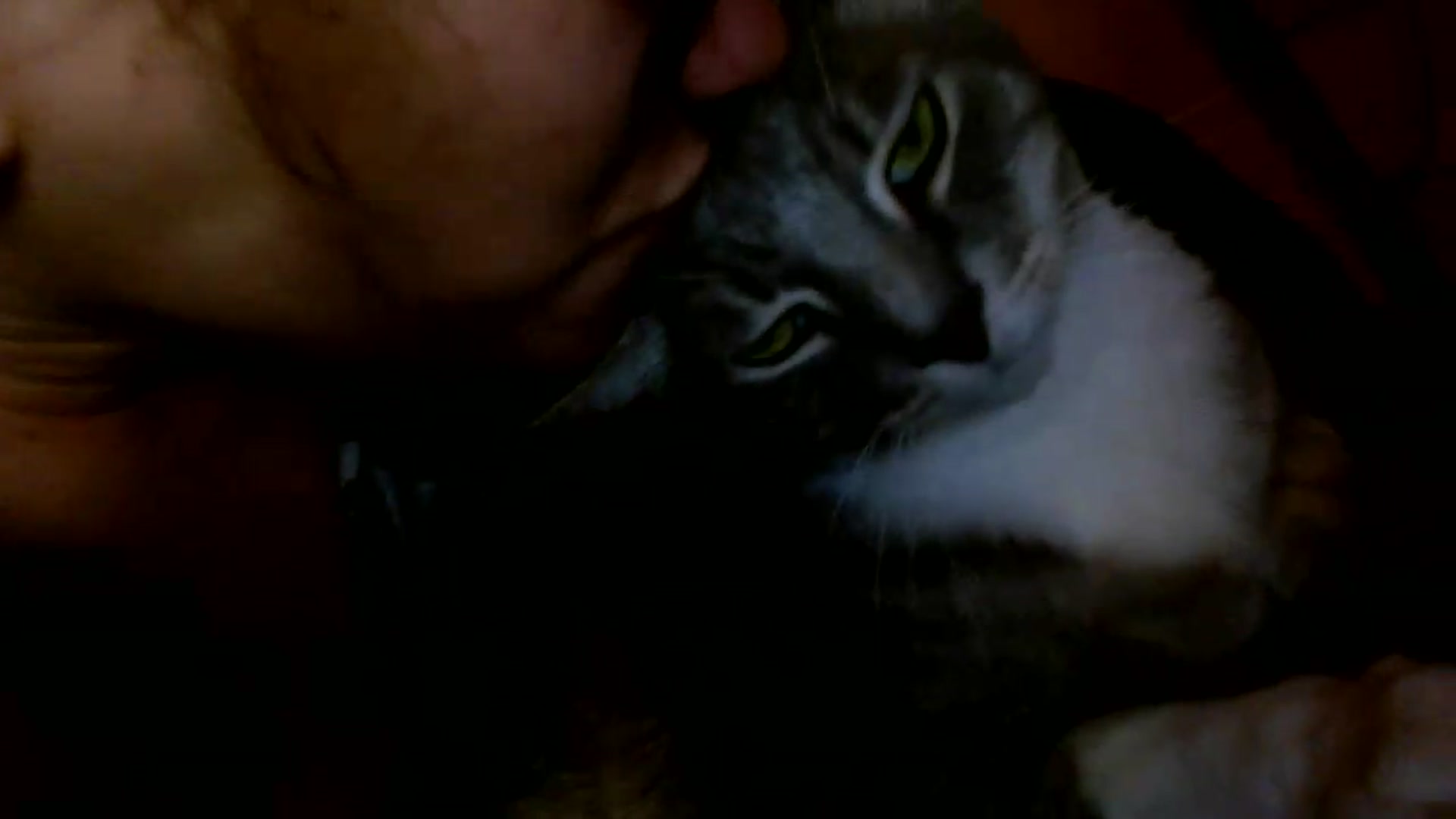 Gallery image thumbnail from Scar__lett's myfreecams stream on, 05/30/2026, 10:52 image 14 of 20