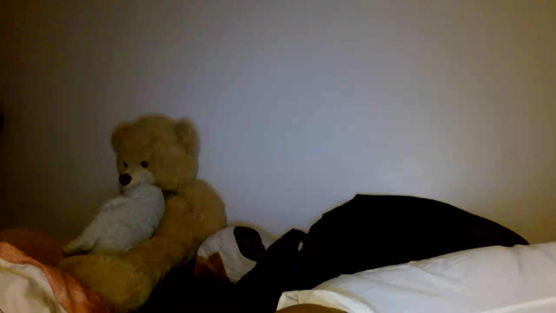 Gallery image thumbnail from Scar__lett's myfreecams stream on, 07/24/2026, 07:50 image 3 of 20