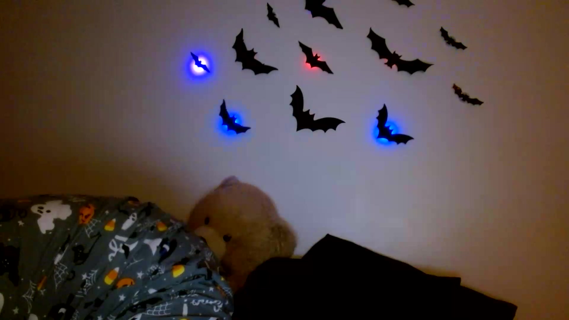 Gallery image thumbnail from Scar__lett's myfreecams stream on, 08/21/2026, 06:22 image 5 of 20