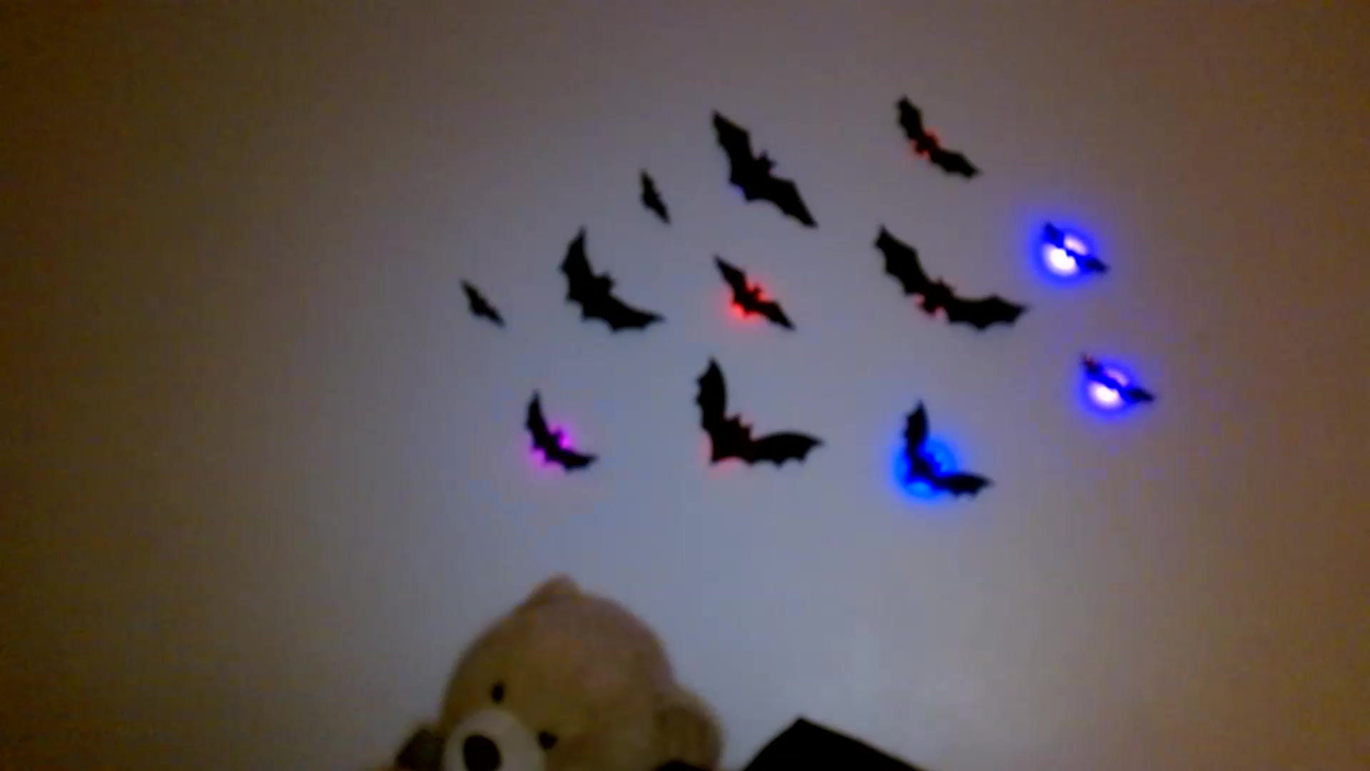 Gallery image thumbnail from Scar__lett's myfreecams stream on, 08/21/2026, 06:22 image 7 of 20