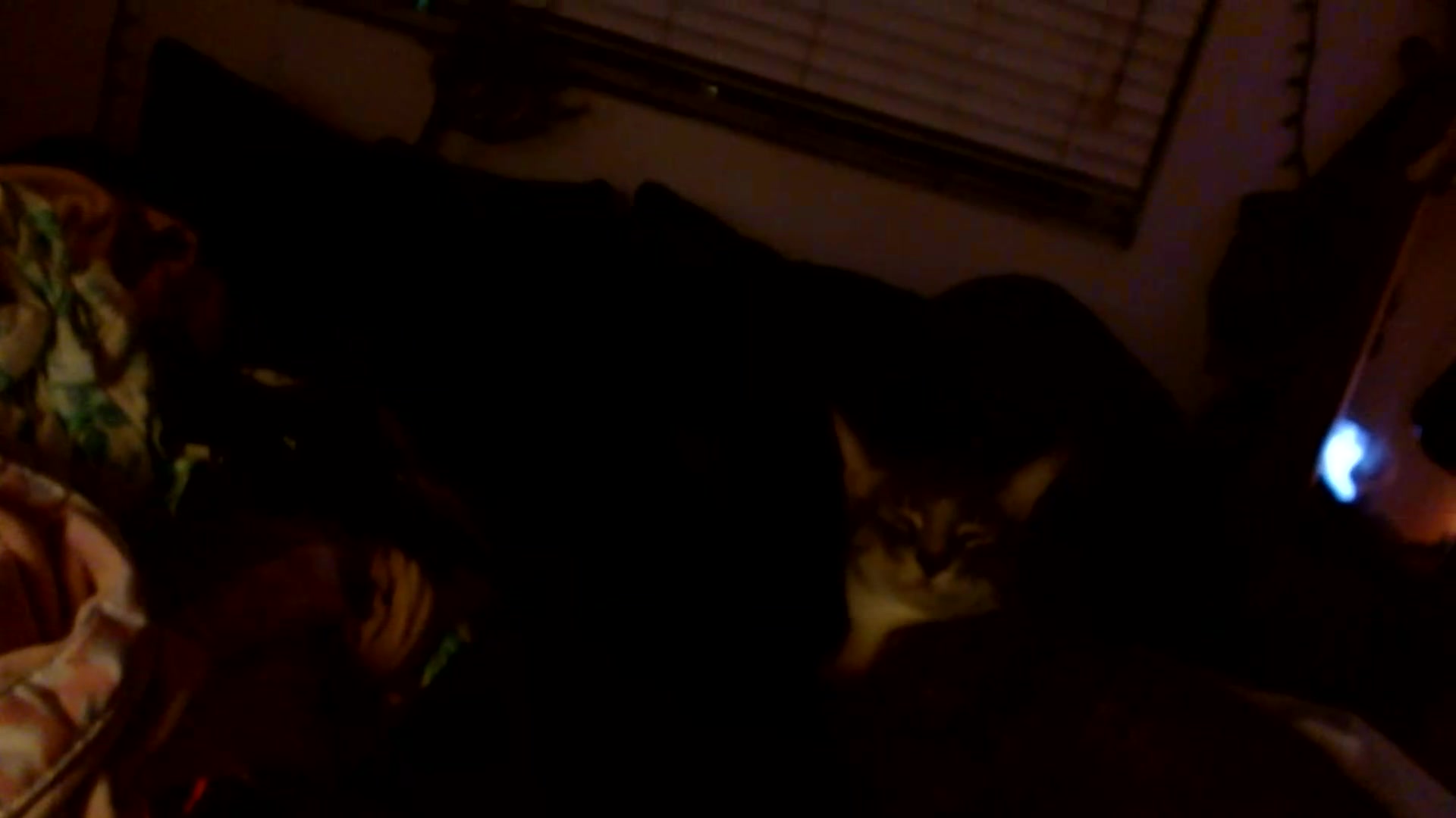 Gallery image thumbnail from Scar__lett's myfreecams stream on, 08/21/2026, 06:22 image 6 of 20