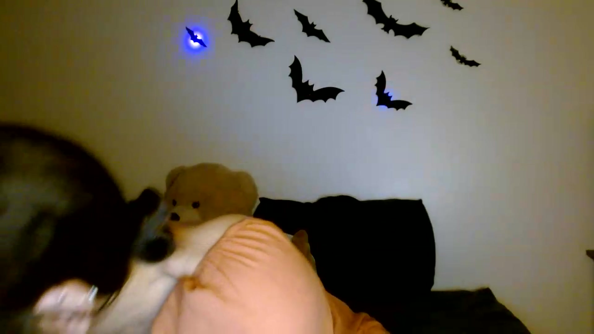 Gallery image thumbnail from Scar__lett's myfreecams stream on, 08/23/2026, 08:46 image 14 of 20