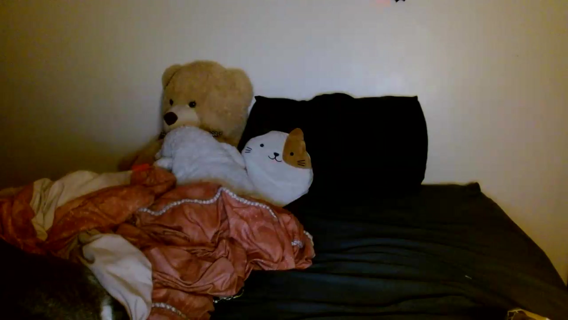 Gallery image thumbnail from Scar__lett's myfreecams stream on, 08/23/2026, 08:46 image 13 of 20