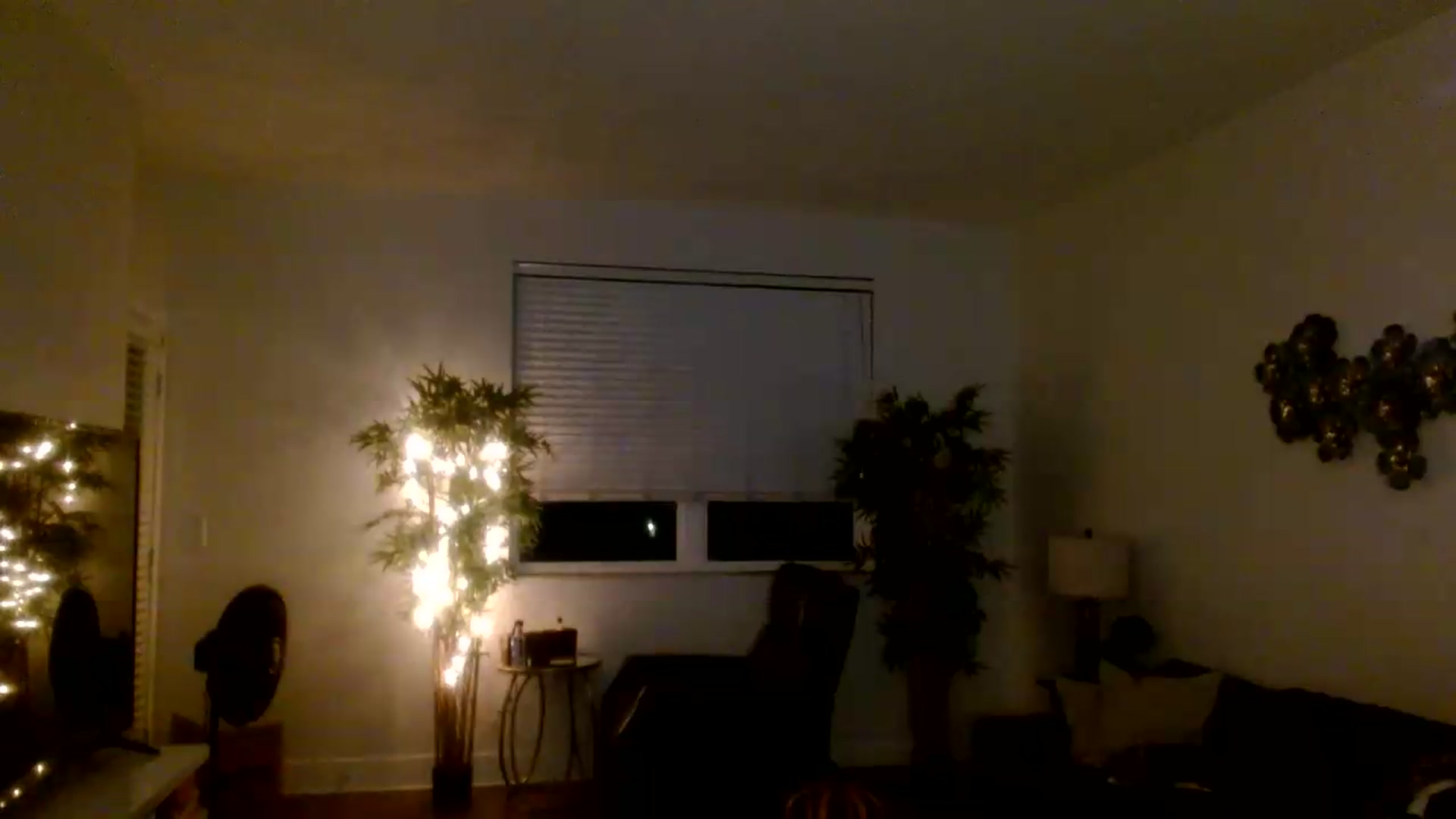Gallery image thumbnail from Scar__lett's myfreecams stream on, 08/29/2026, 05:40 image 19 of 20
