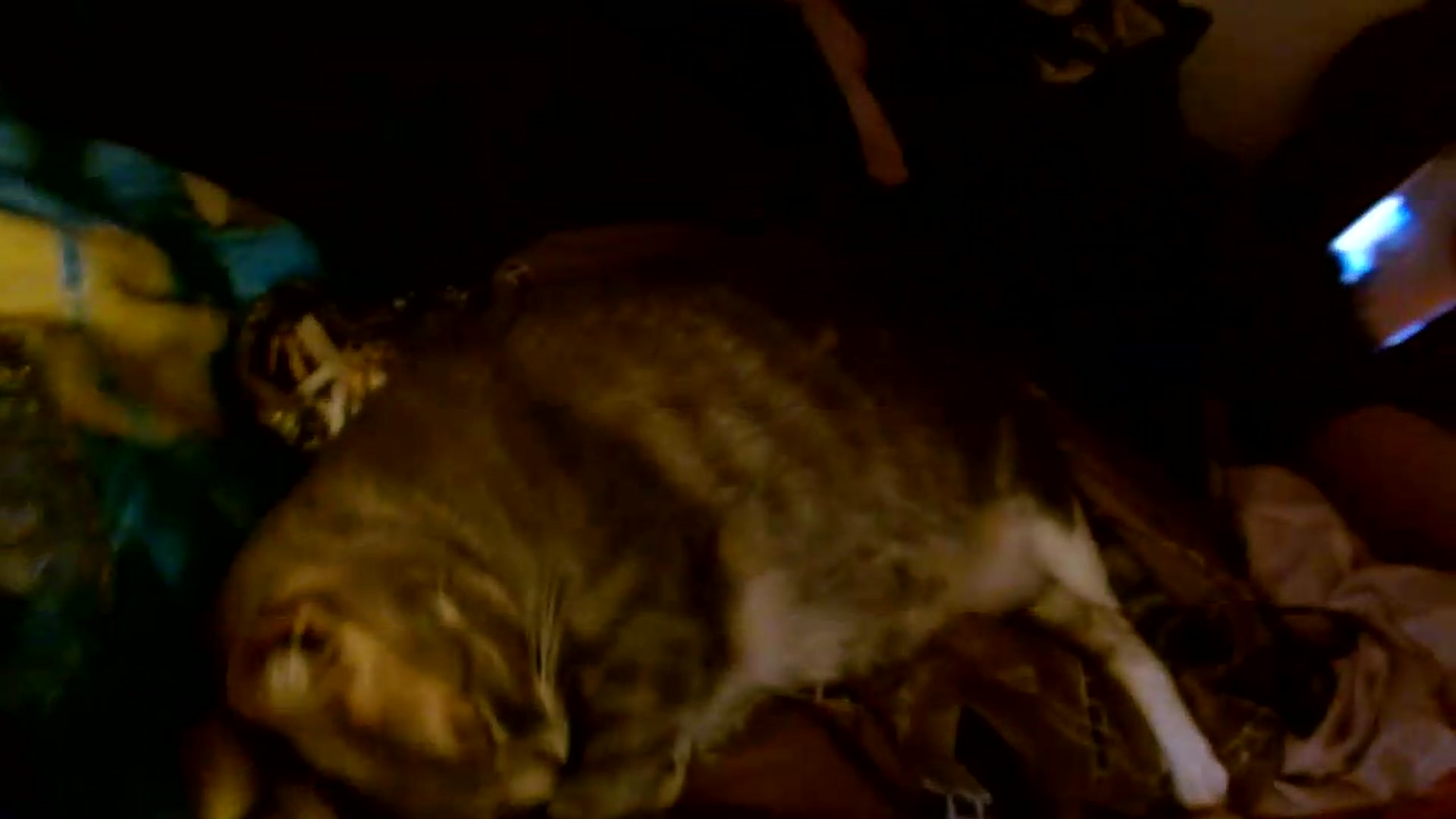 Gallery image thumbnail from Scar__lett's myfreecams stream on, 09/11/2026, 07:47 image 8 of 20