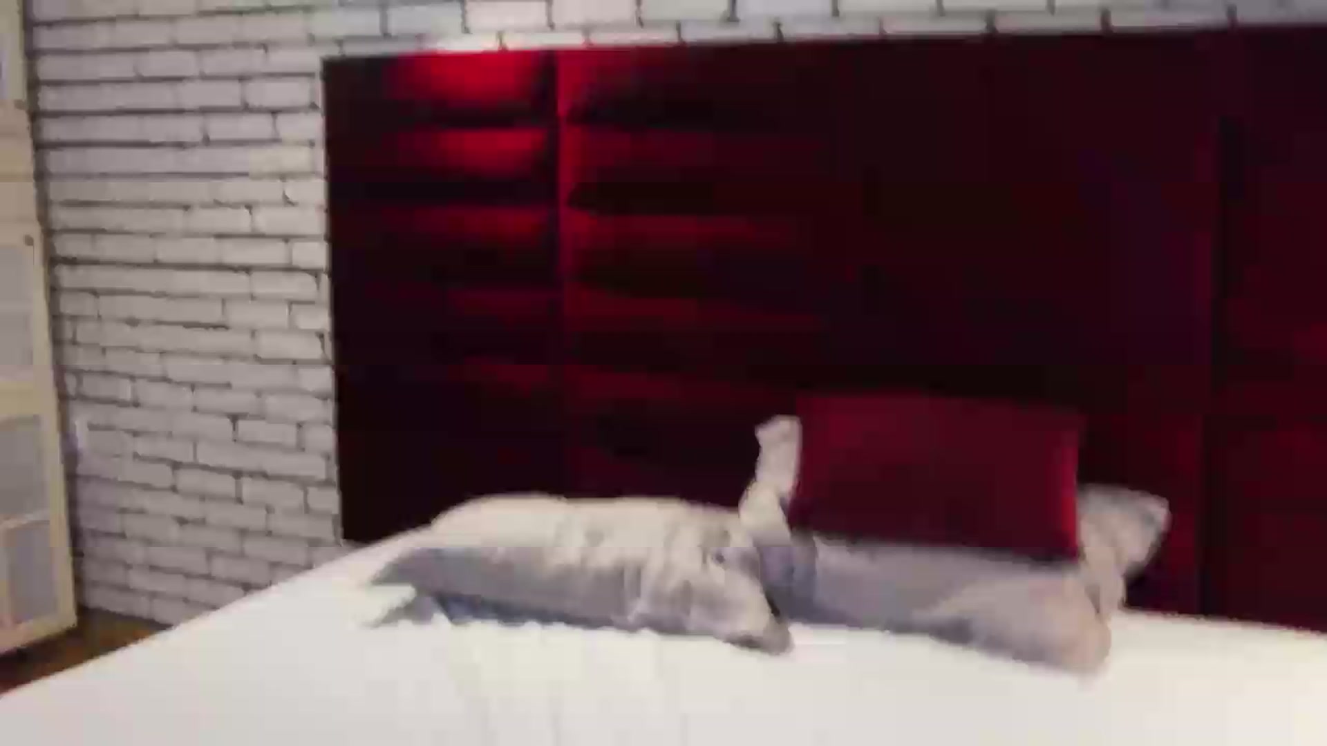 Gallery image thumbnail from ScarlettXstar's myfreecams stream on, 07/21/2026, 19:12 image 1 of 20