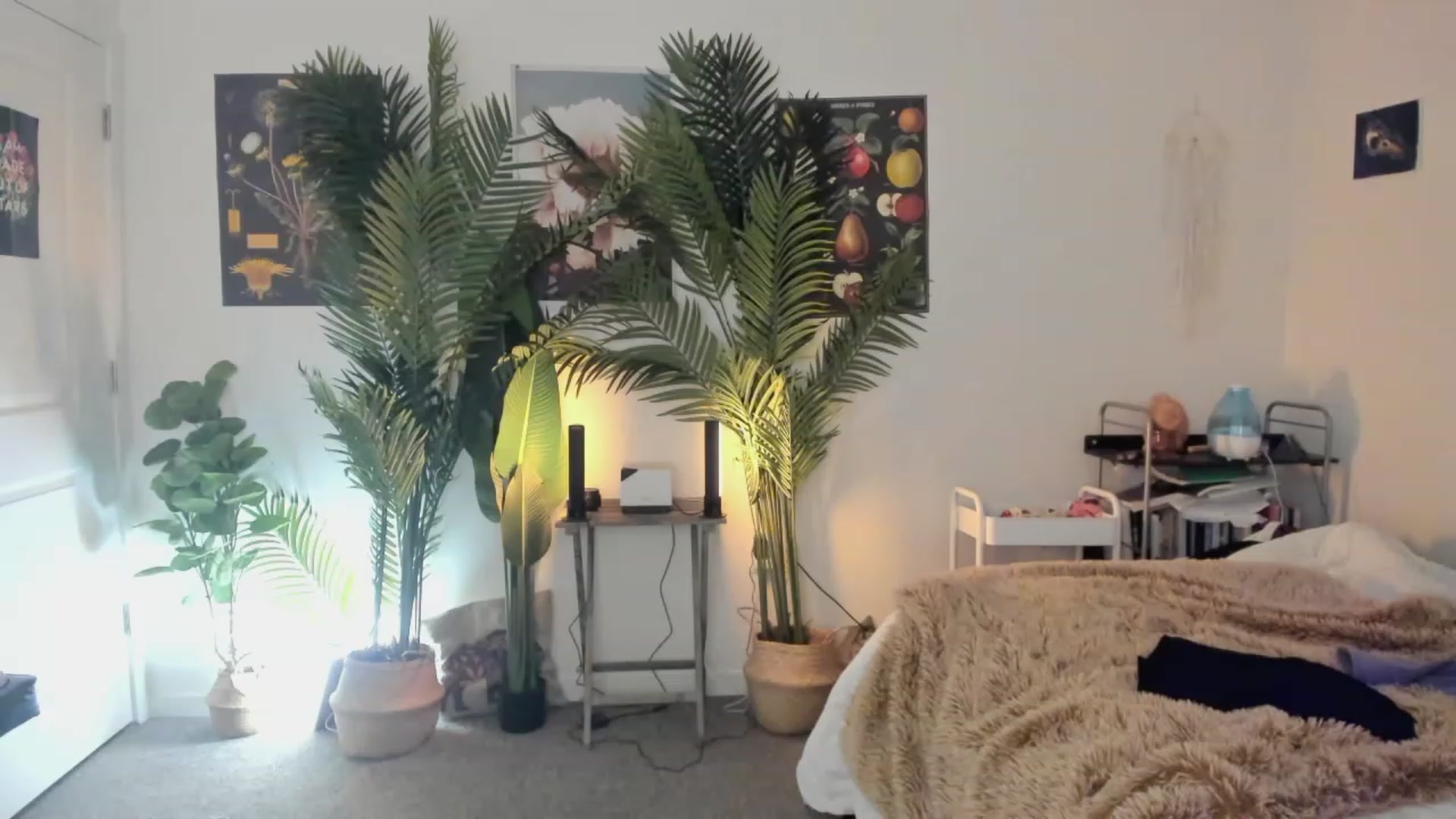 Gallery image thumbnail from Scarlett_Vera's myfreecams stream on, 06/03/2023, 03:53 image 16 of 20