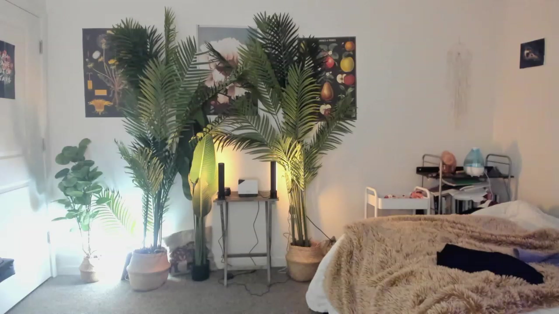Gallery image thumbnail from Scarlett_Vera's myfreecams stream on, 06/03/2023, 03:53 image 17 of 20