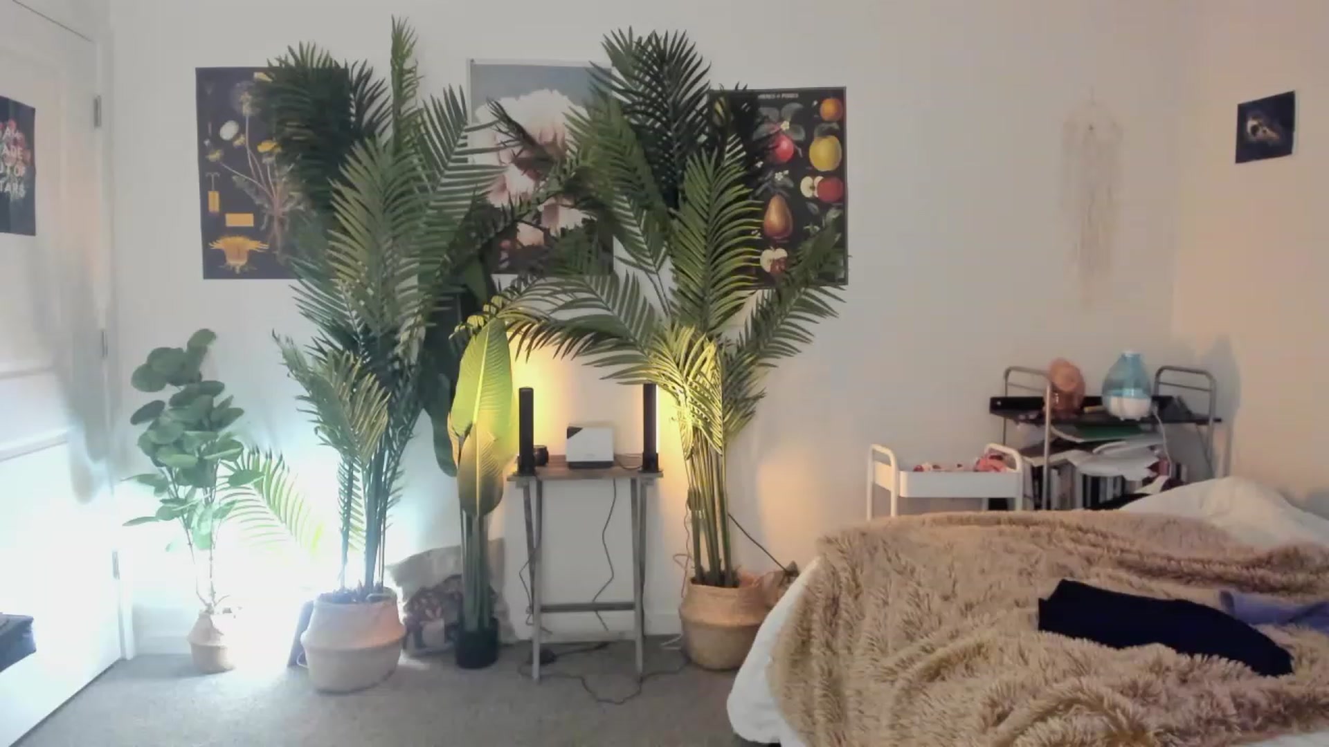 Gallery image thumbnail from Scarlett_Vera's myfreecams stream on, 06/03/2023, 03:53 image 15 of 20