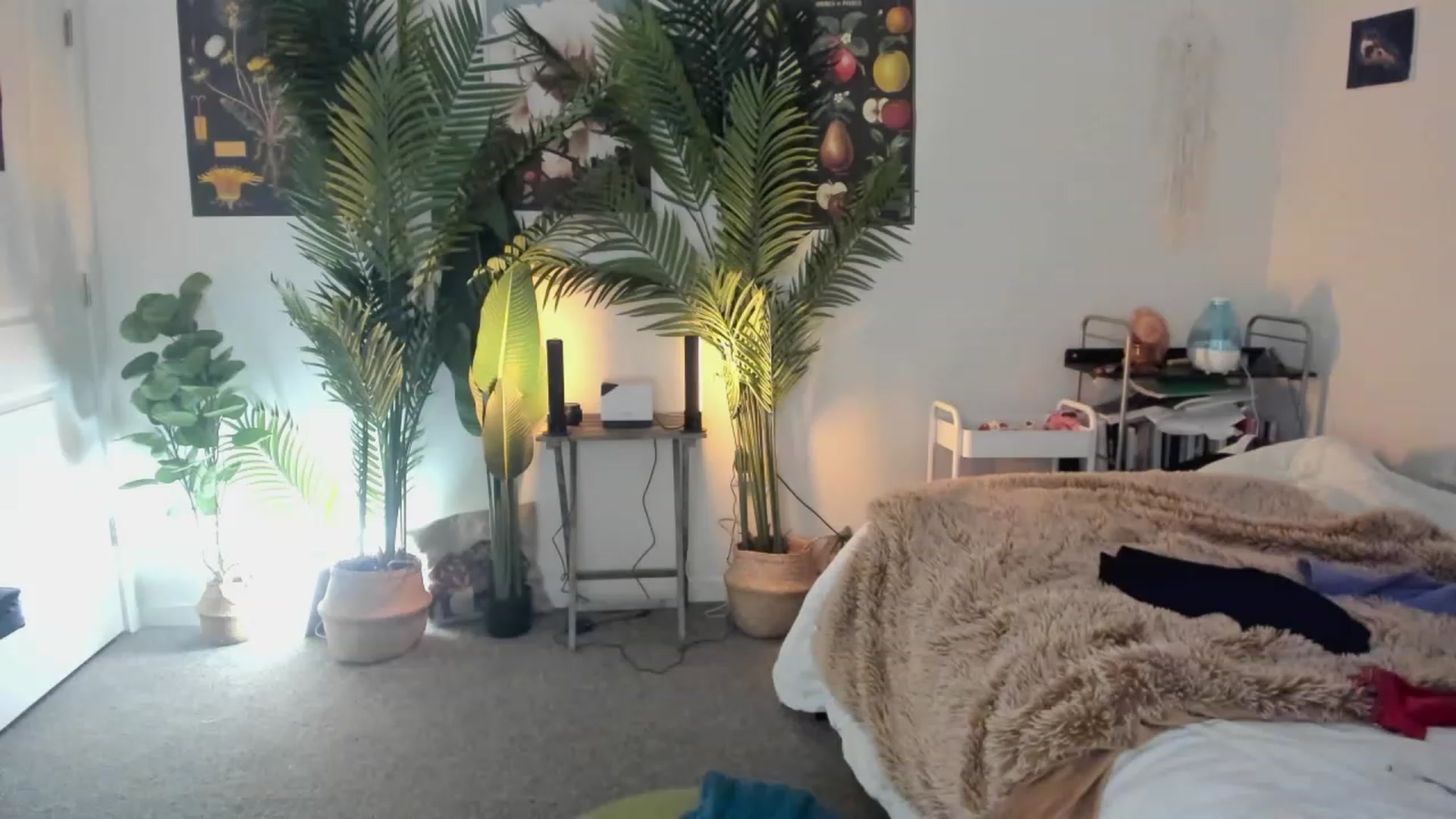 Gallery image thumbnail from Scarlett_Vera's myfreecams stream on, 06/03/2023, 04:31 image 18 of 20
