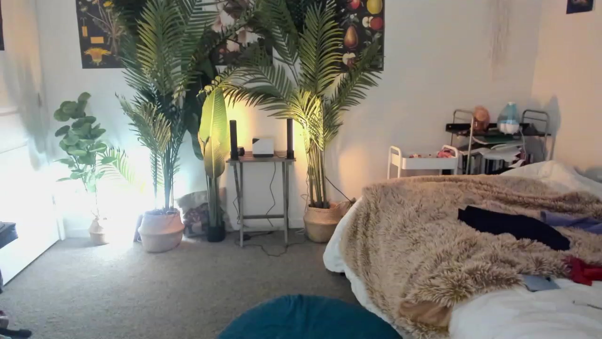 Gallery image thumbnail from Scarlett_Vera's myfreecams stream on, 06/03/2023, 05:05 image 10 of 20