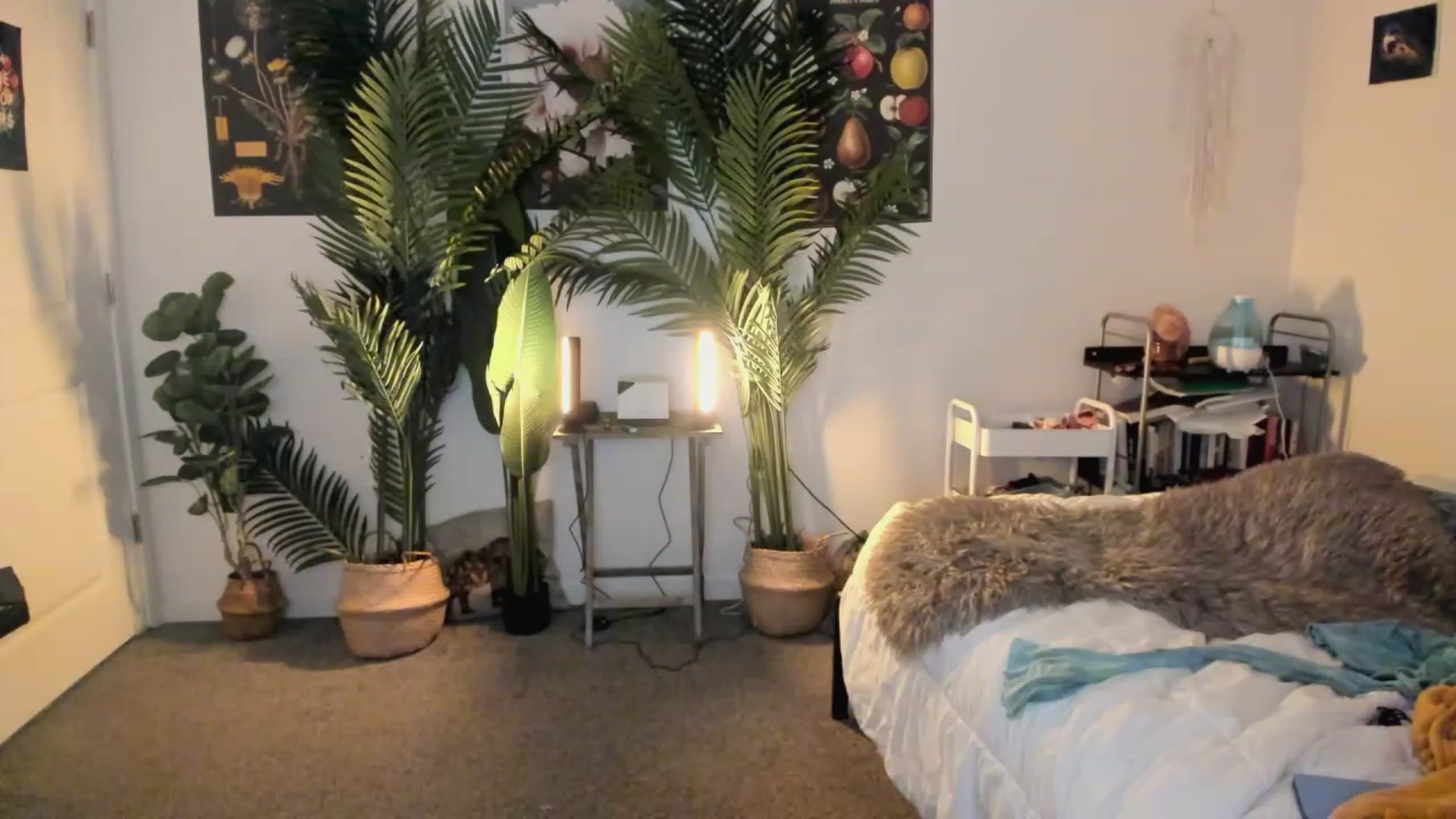 Gallery image thumbnail from Scarlett_Vera's myfreecams stream on, 06/04/2023, 04:37 image 14 of 20
