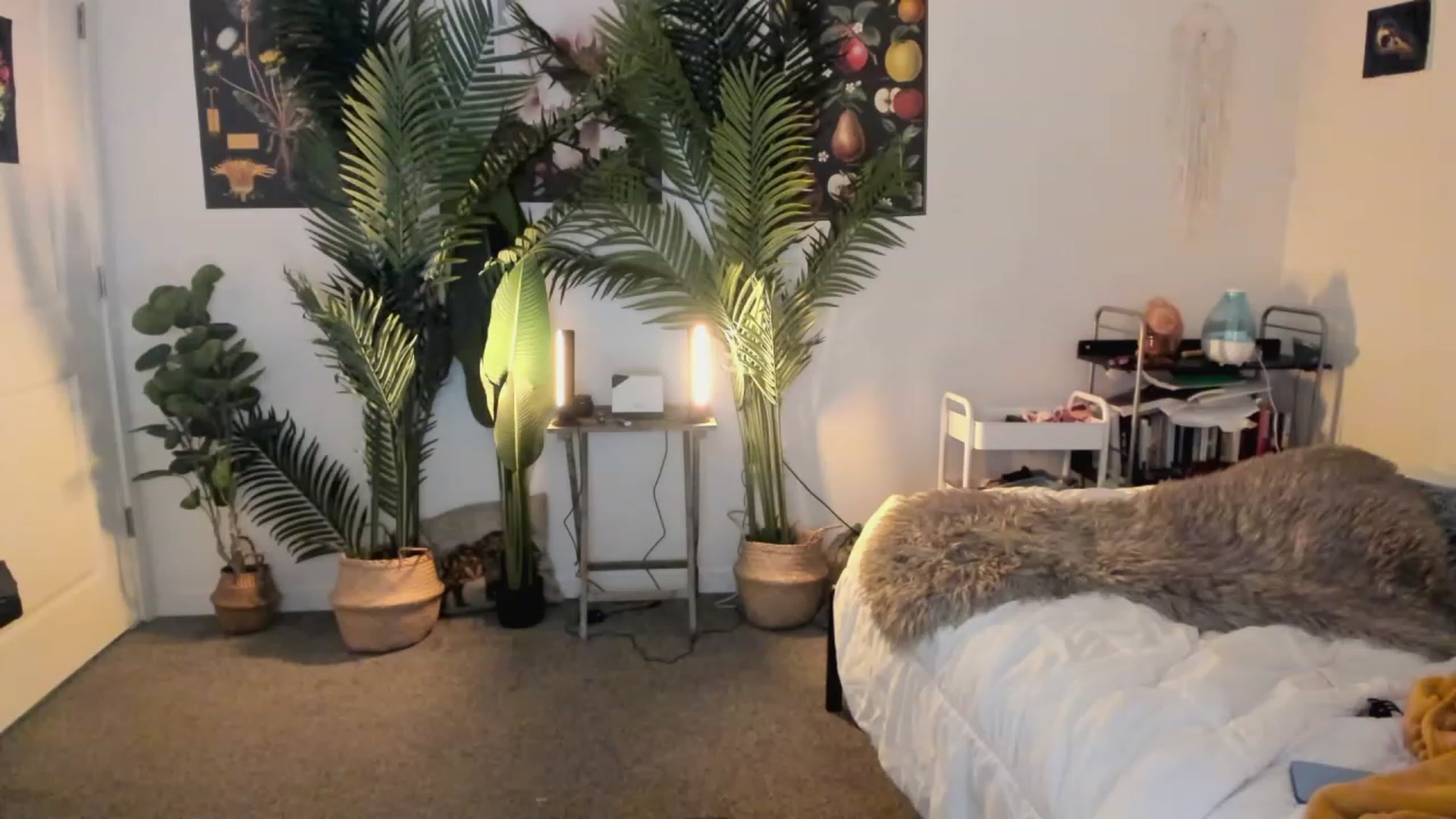 Gallery image thumbnail from Scarlett_Vera's myfreecams stream on, 06/04/2023, 04:37 image 2 of 20