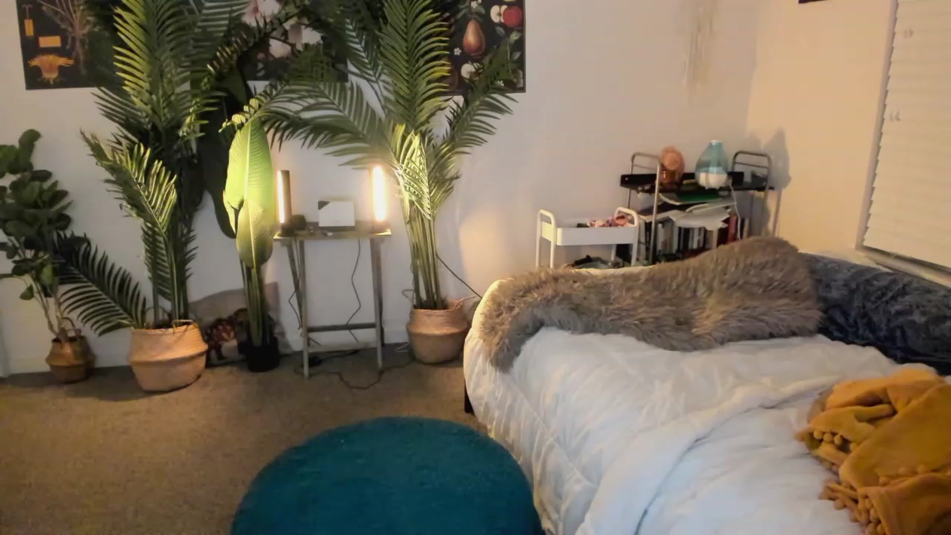 Gallery image thumbnail from Scarlett_Vera's myfreecams stream on, 06/04/2023, 05:30 image 4 of 20