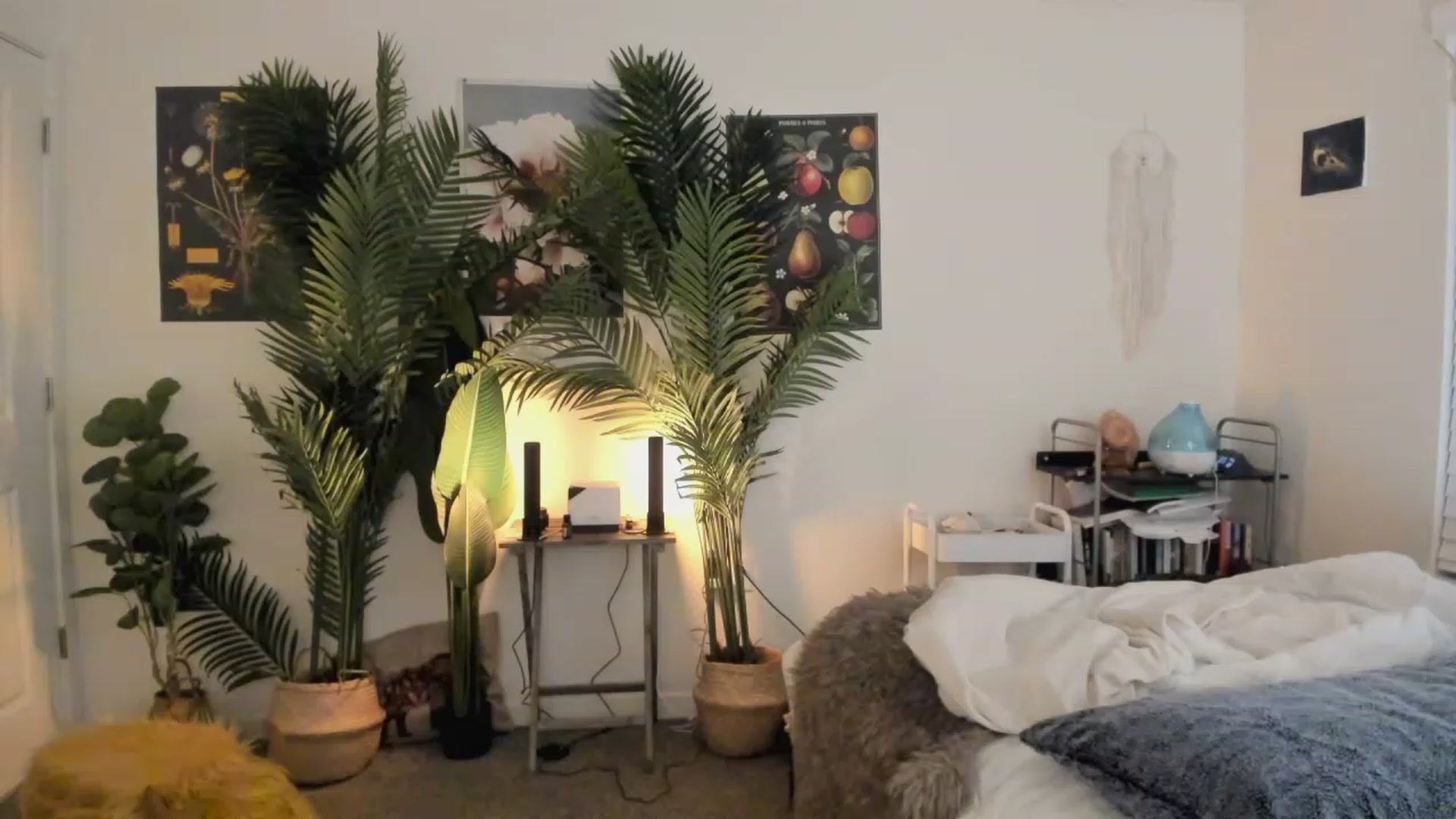 Gallery image thumbnail from Scarlett_Vera's myfreecams stream on, 06/08/2023, 03:57 image 13 of 20